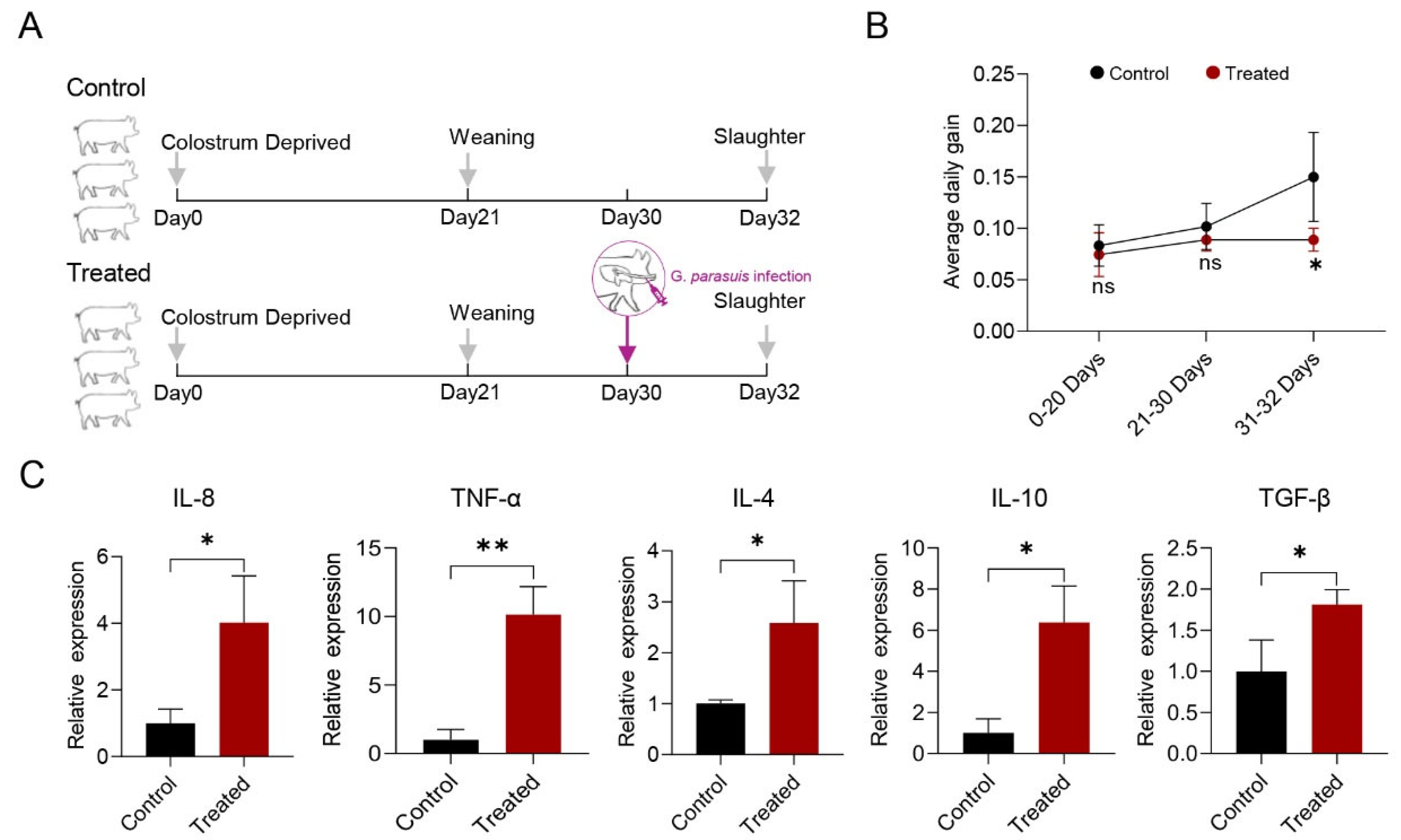 Transcriptome Analysis of miRNA and mRNA in Porcine Skeletal