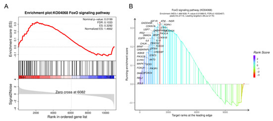 Transcriptome Analysis of miRNA and mRNA in Porcine Skeletal