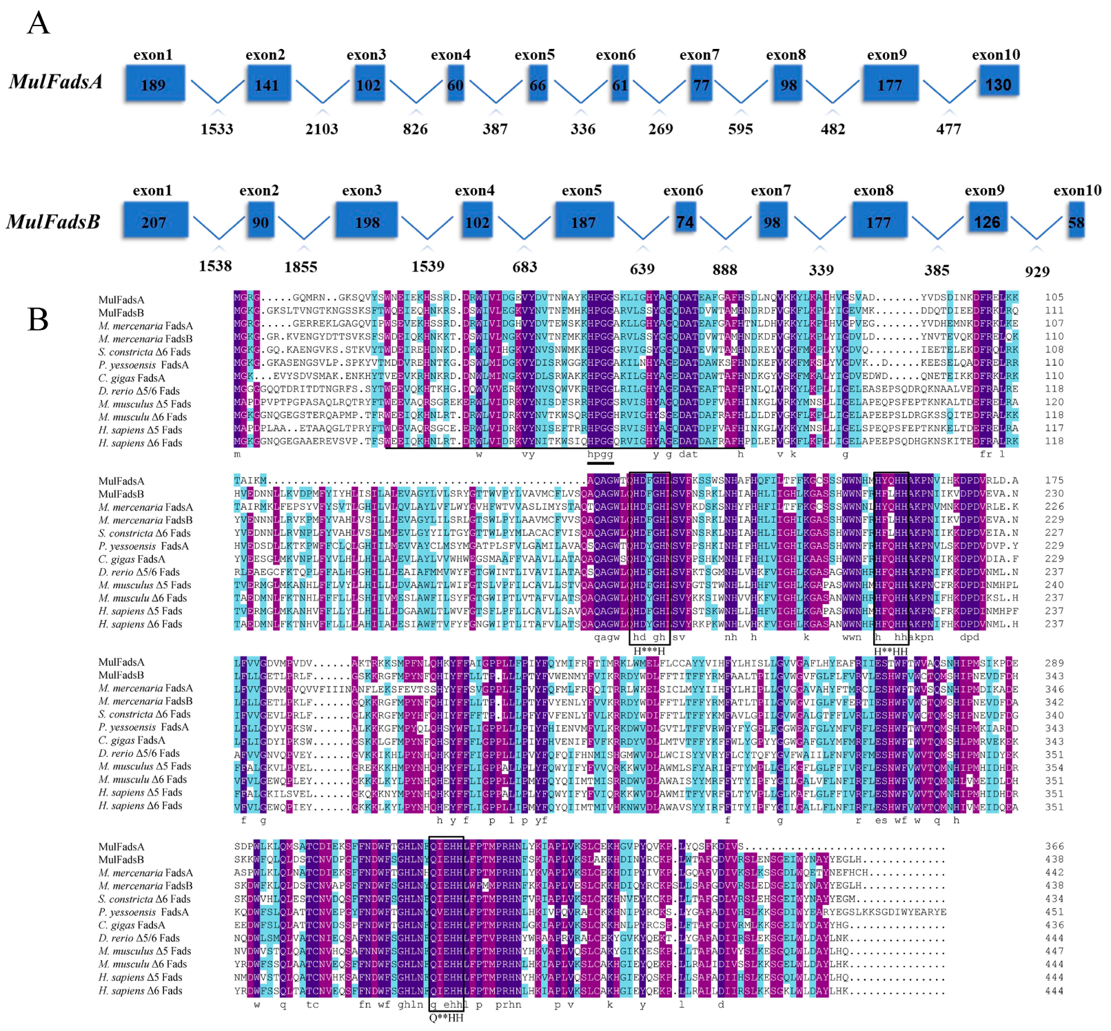 Genes 15 00365 g001 Genes 15 00365 g001