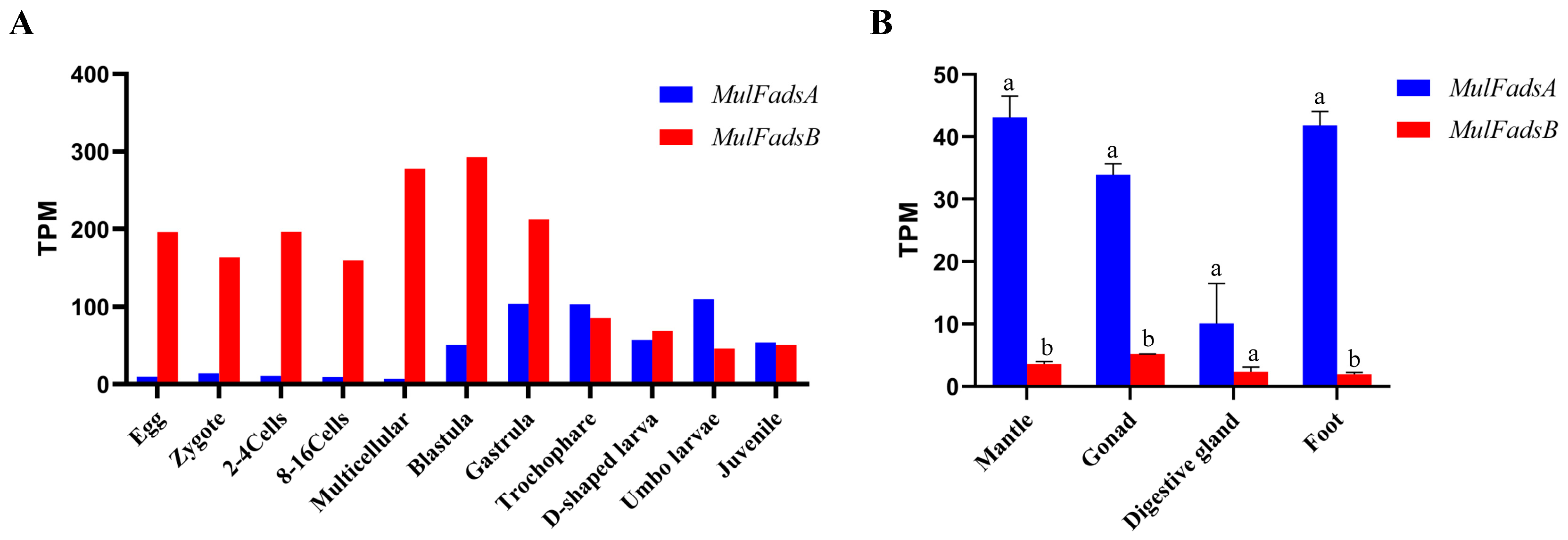 Genes 15 00365 g003 Genes 15 00365 g003