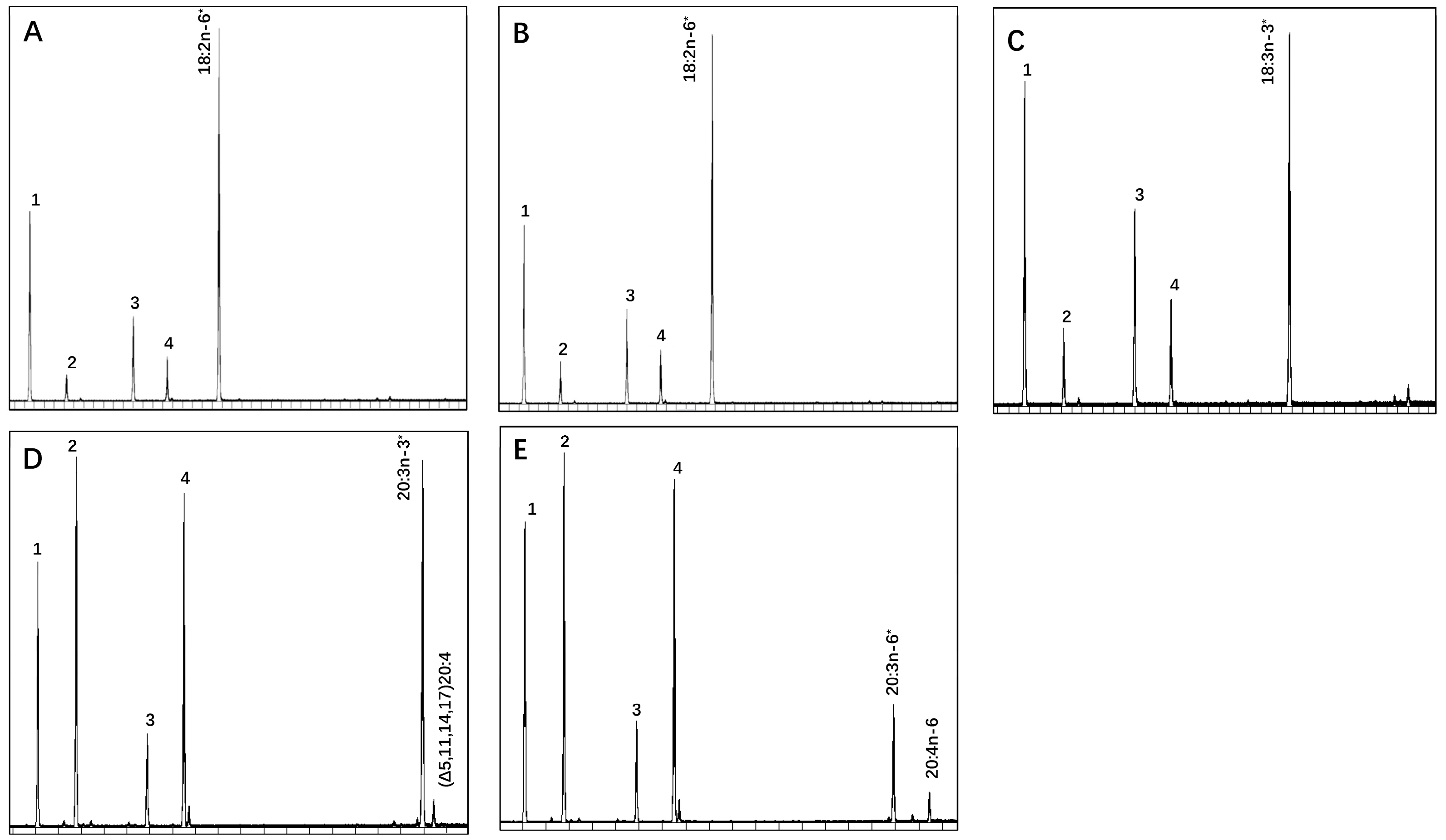 Genes 15 00365 g005 Genes 15 00365 g005