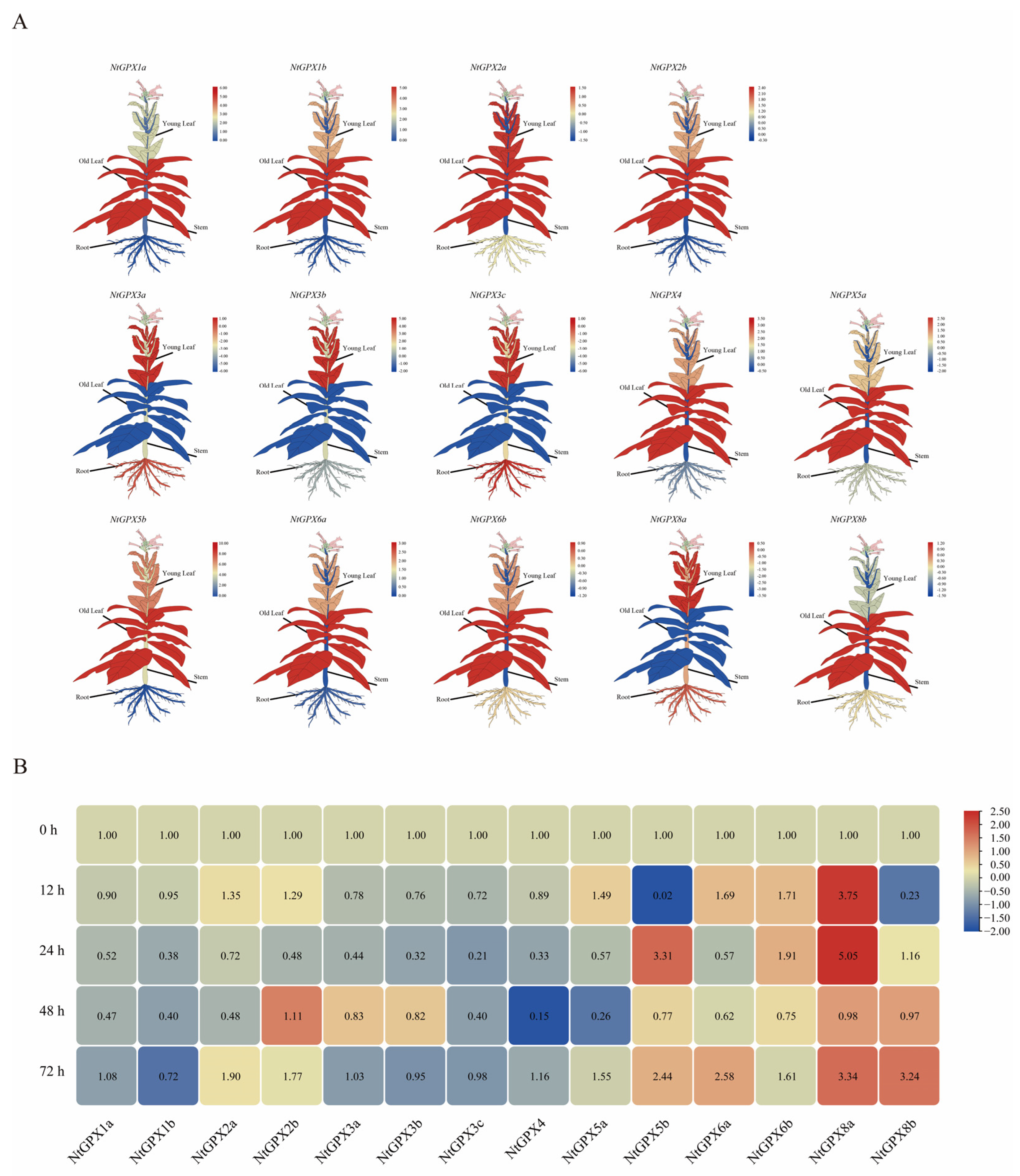 Genes 15 00366 g002