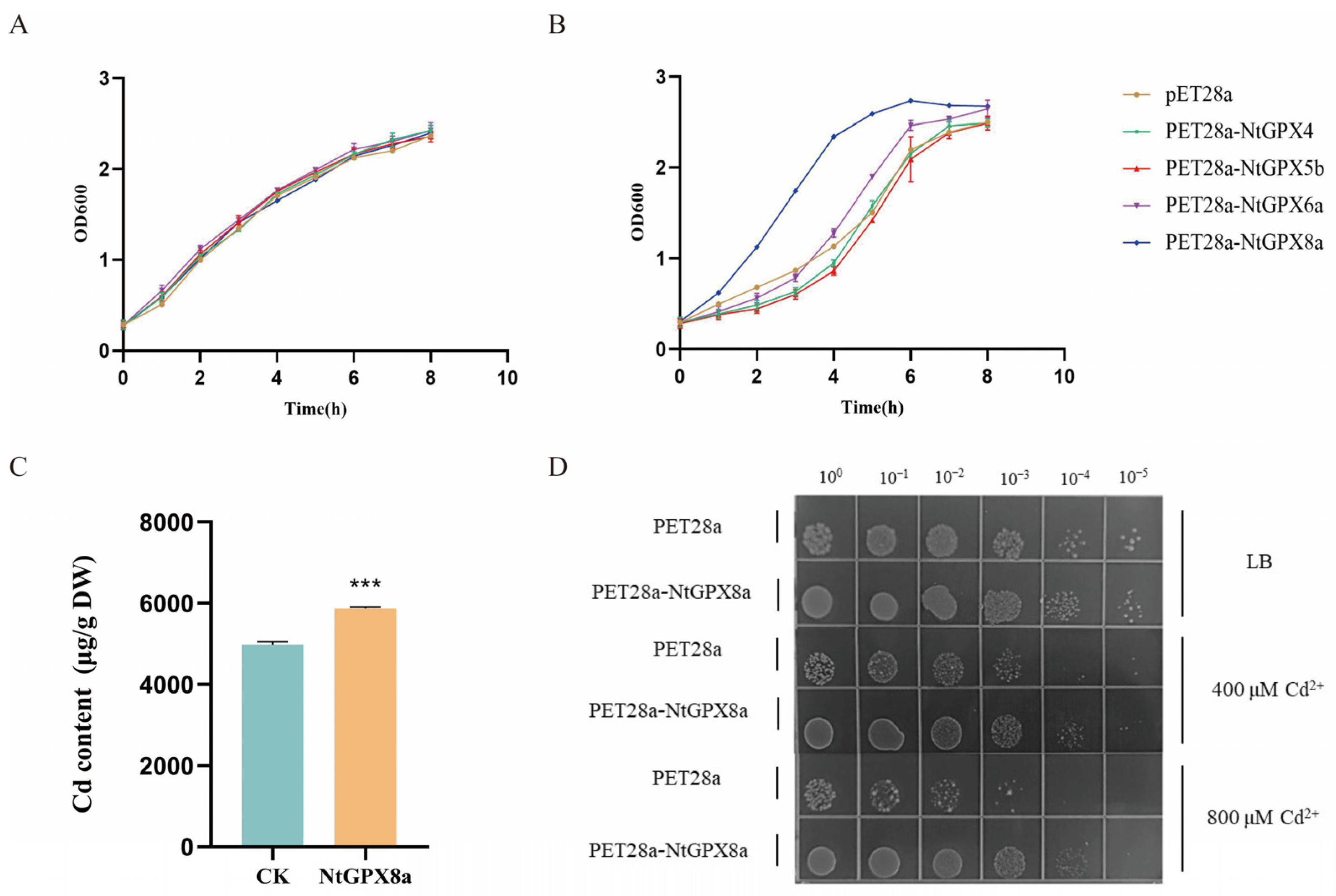 Genes 15 00366 g003