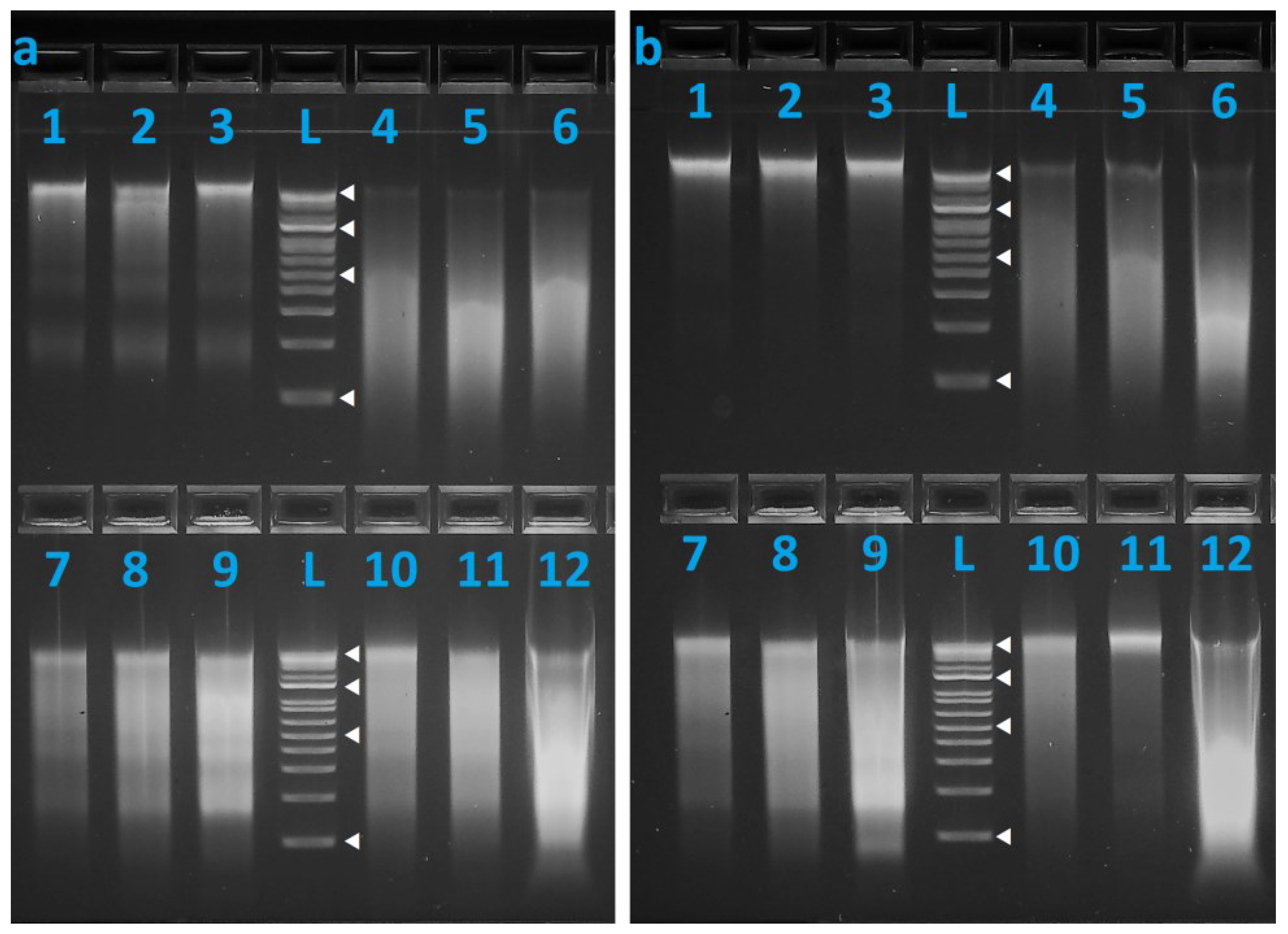 Genes 15 00373 g002