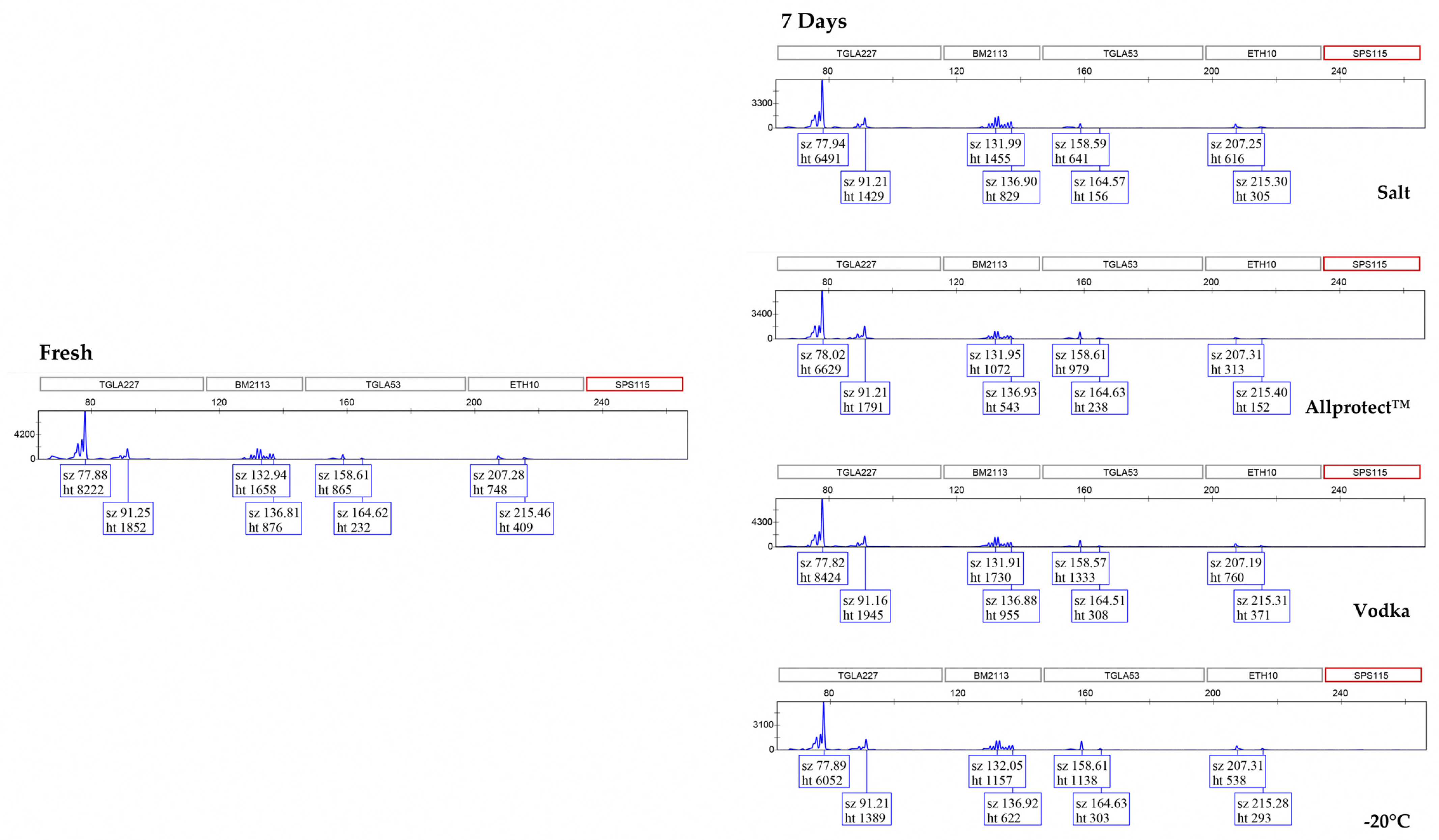 Genes 15 00373 g003a
