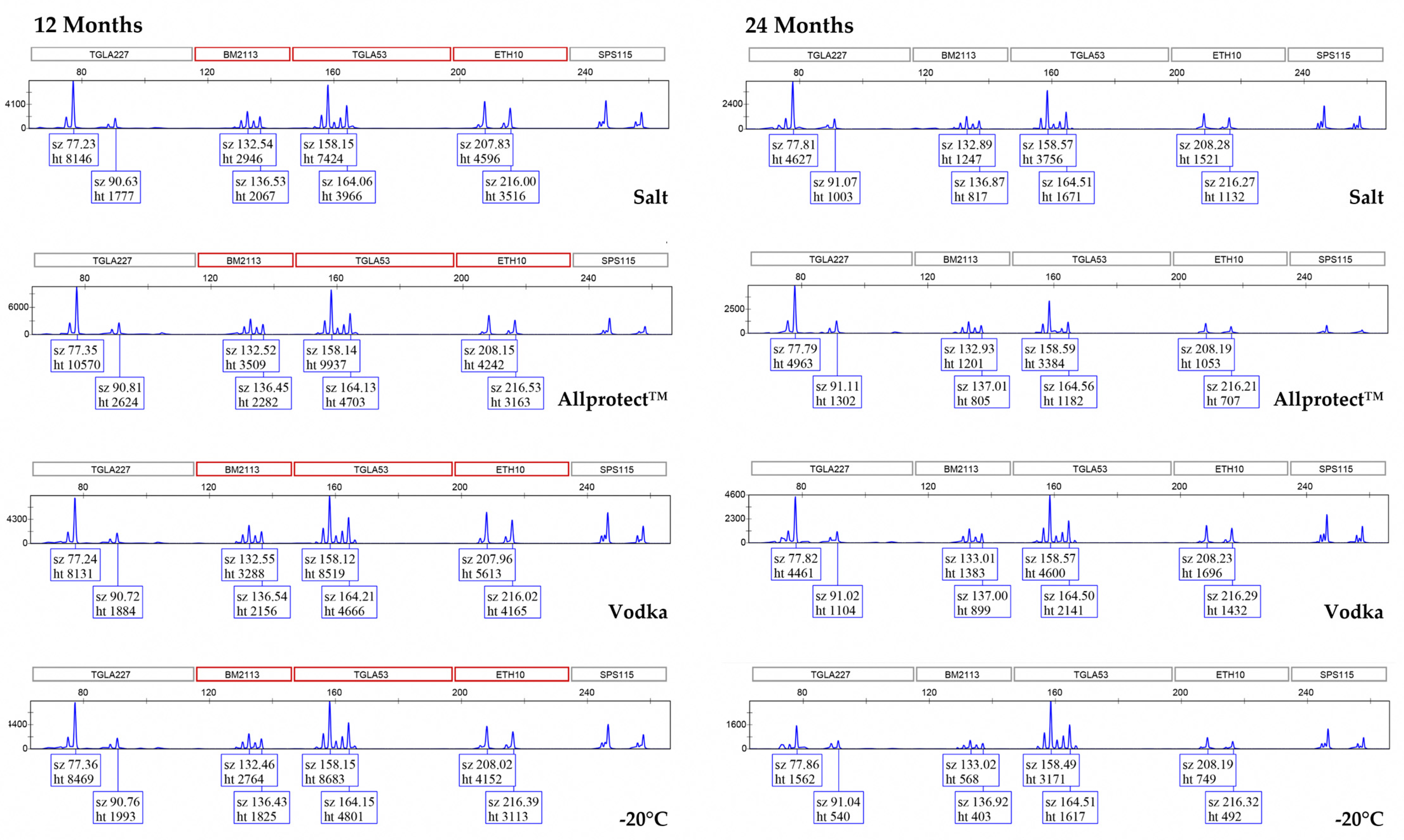Genes 15 00373 g003b