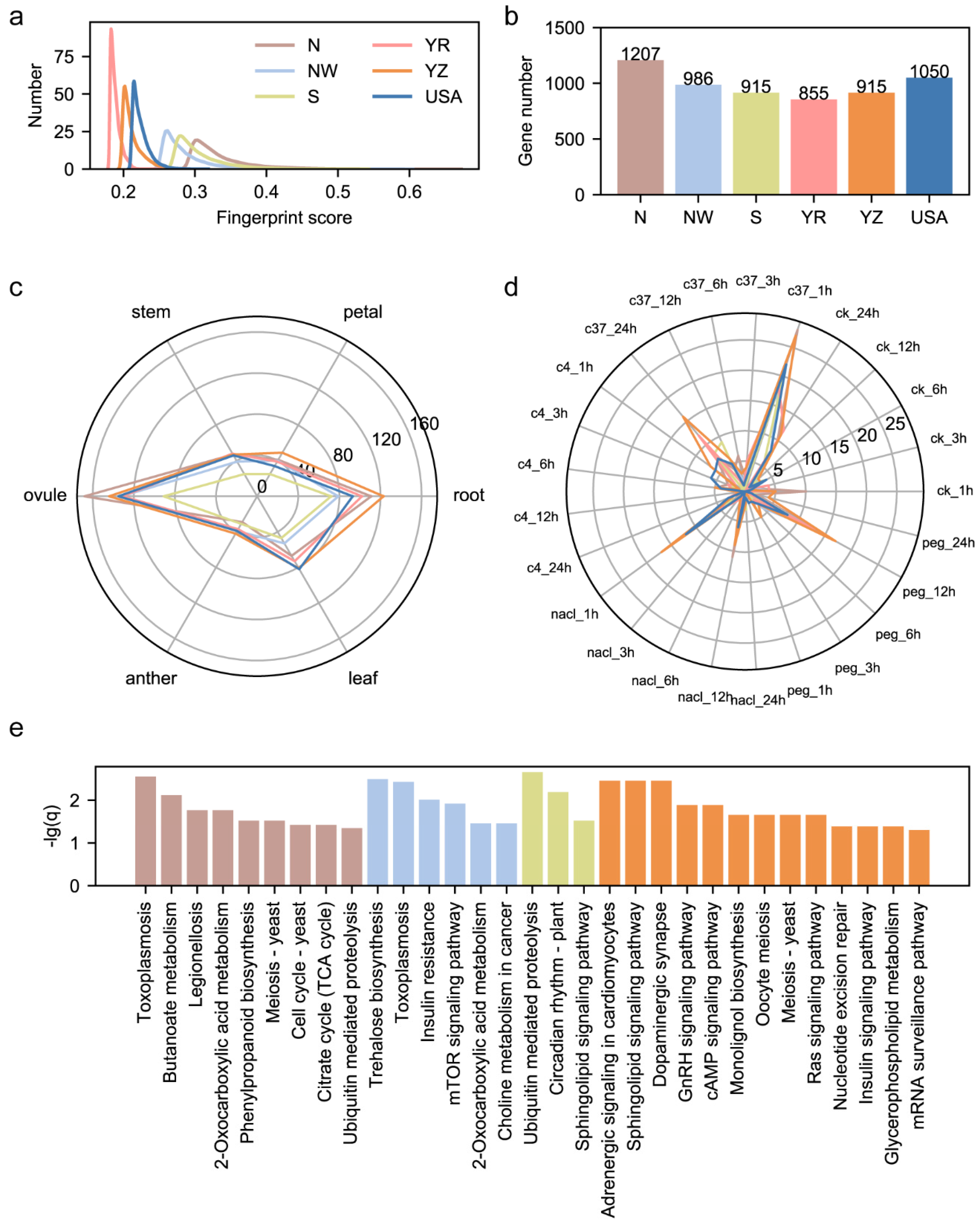 Genes 15 00378 g005