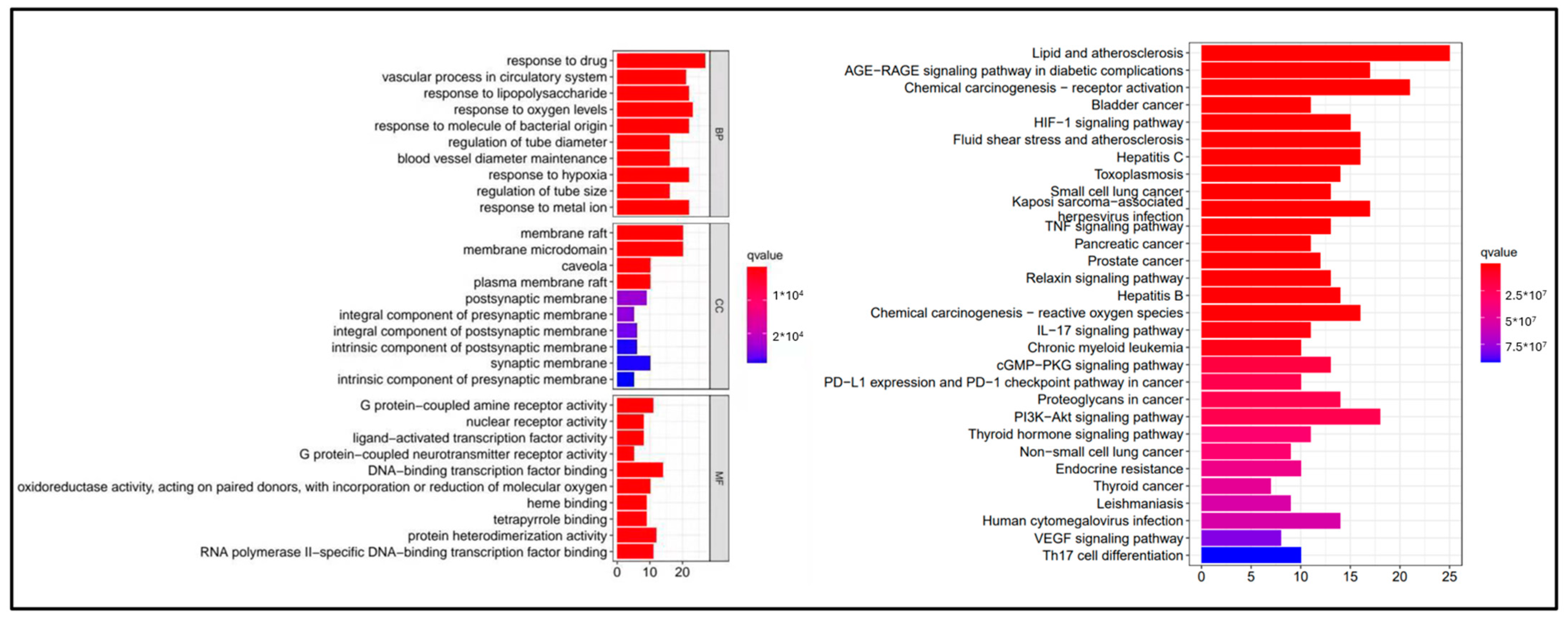 Genes 15 00392 g006
