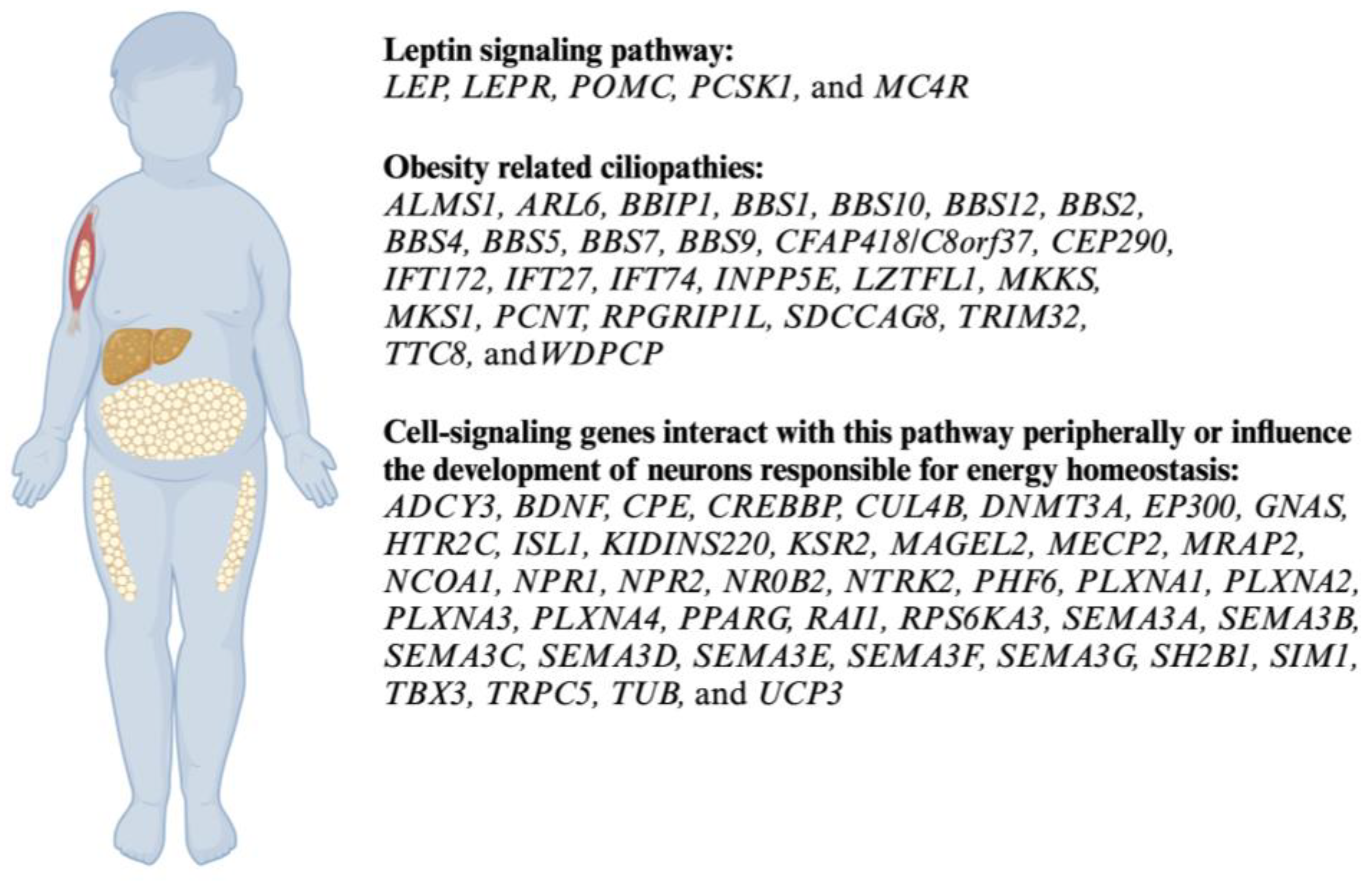 Genes 15 00394 g001 Genes 15 00394 g001