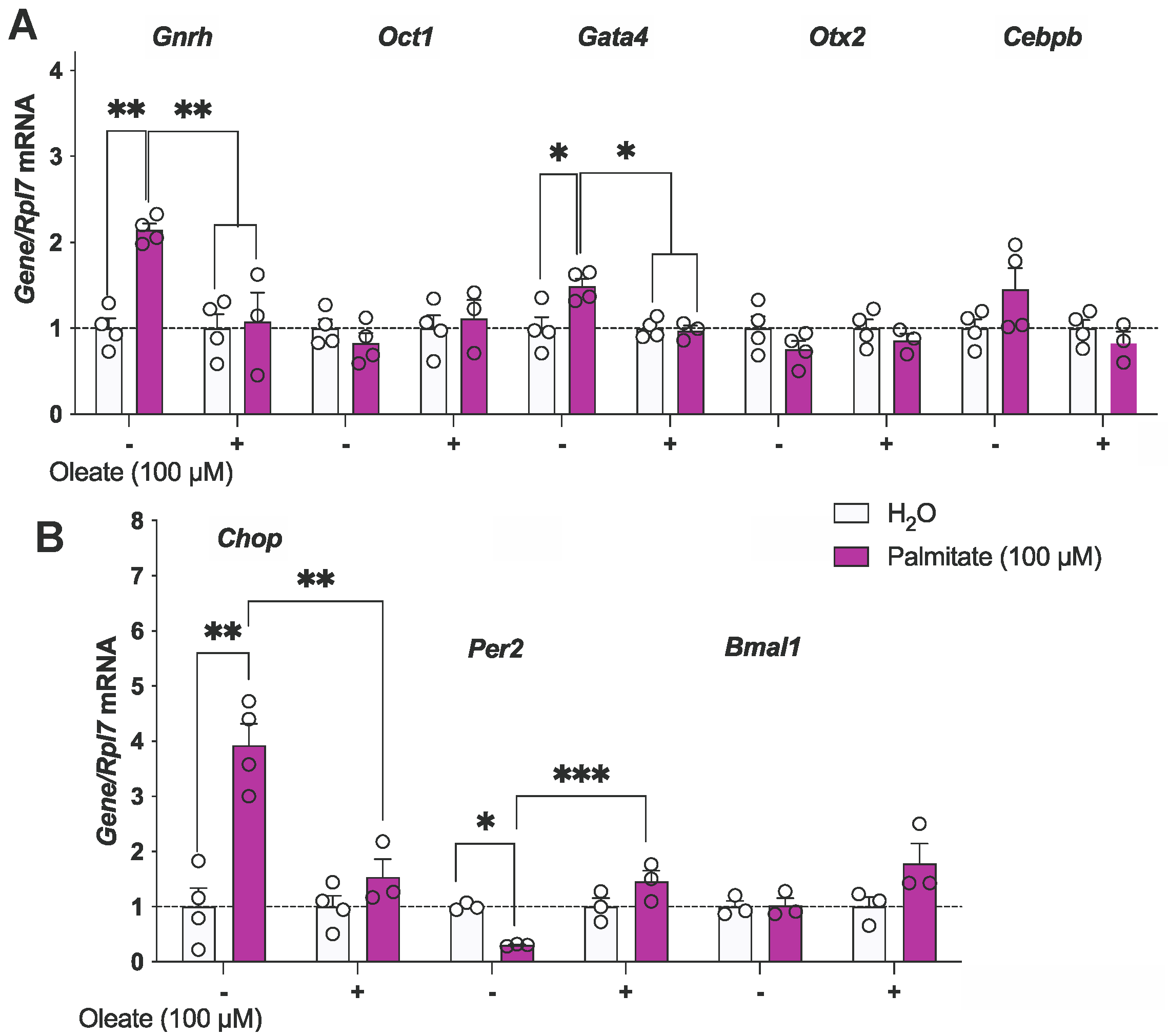 Genes 15 00397 g001 Genes 15 00397 g001