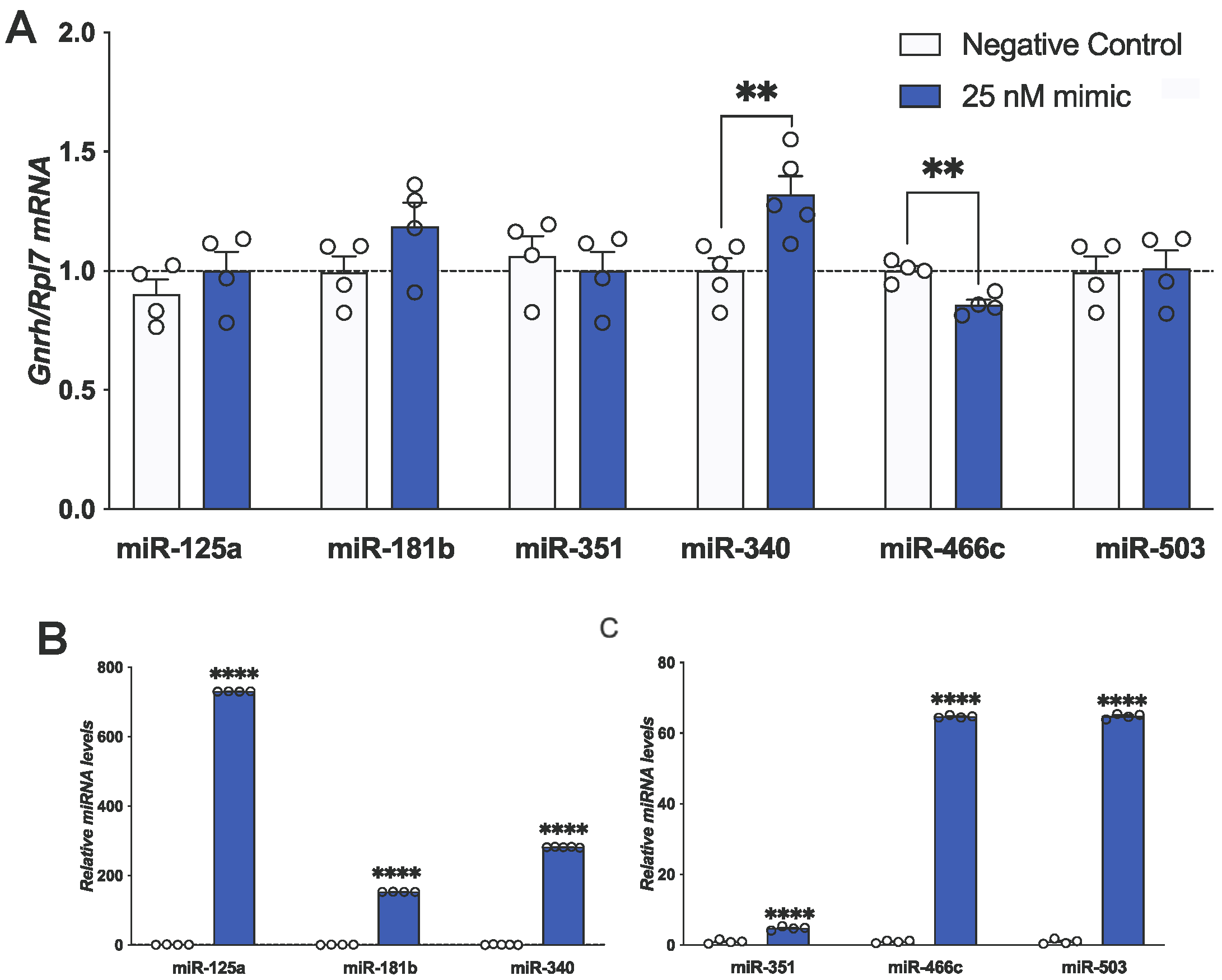 Genes 15 00397 g003 Genes 15 00397 g003