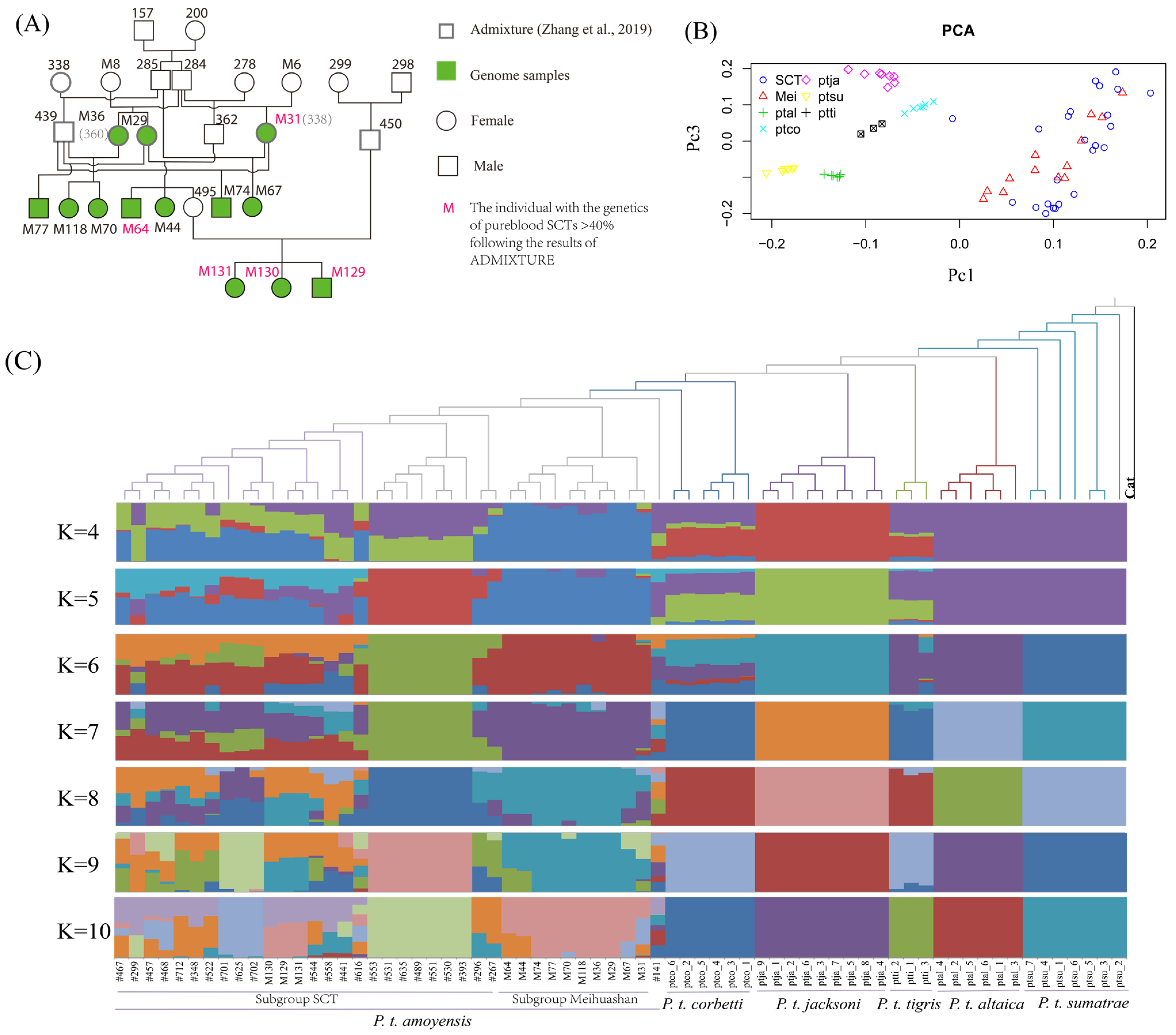 Genes 15 00398 g004