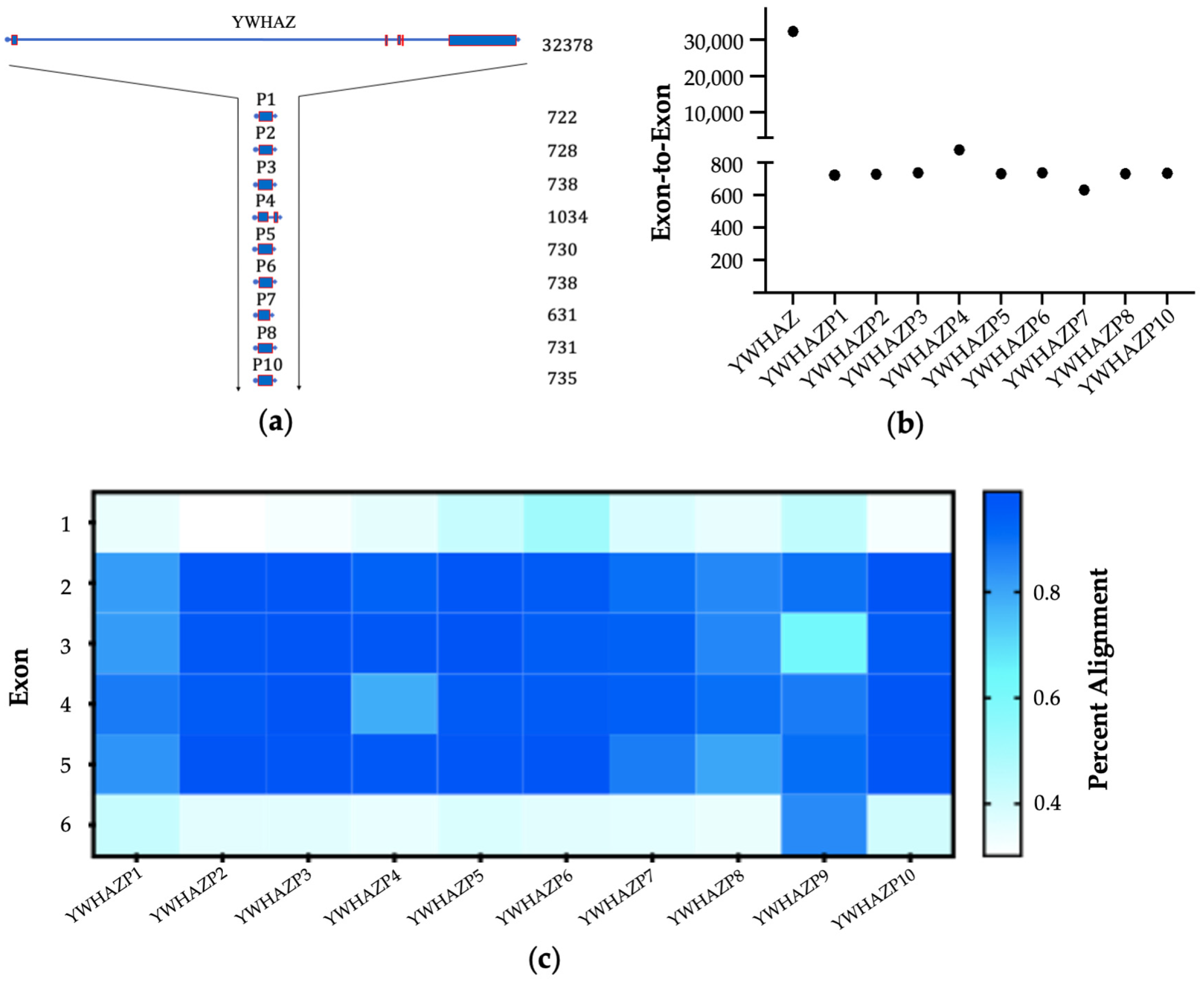 Genes 15 00399 g001