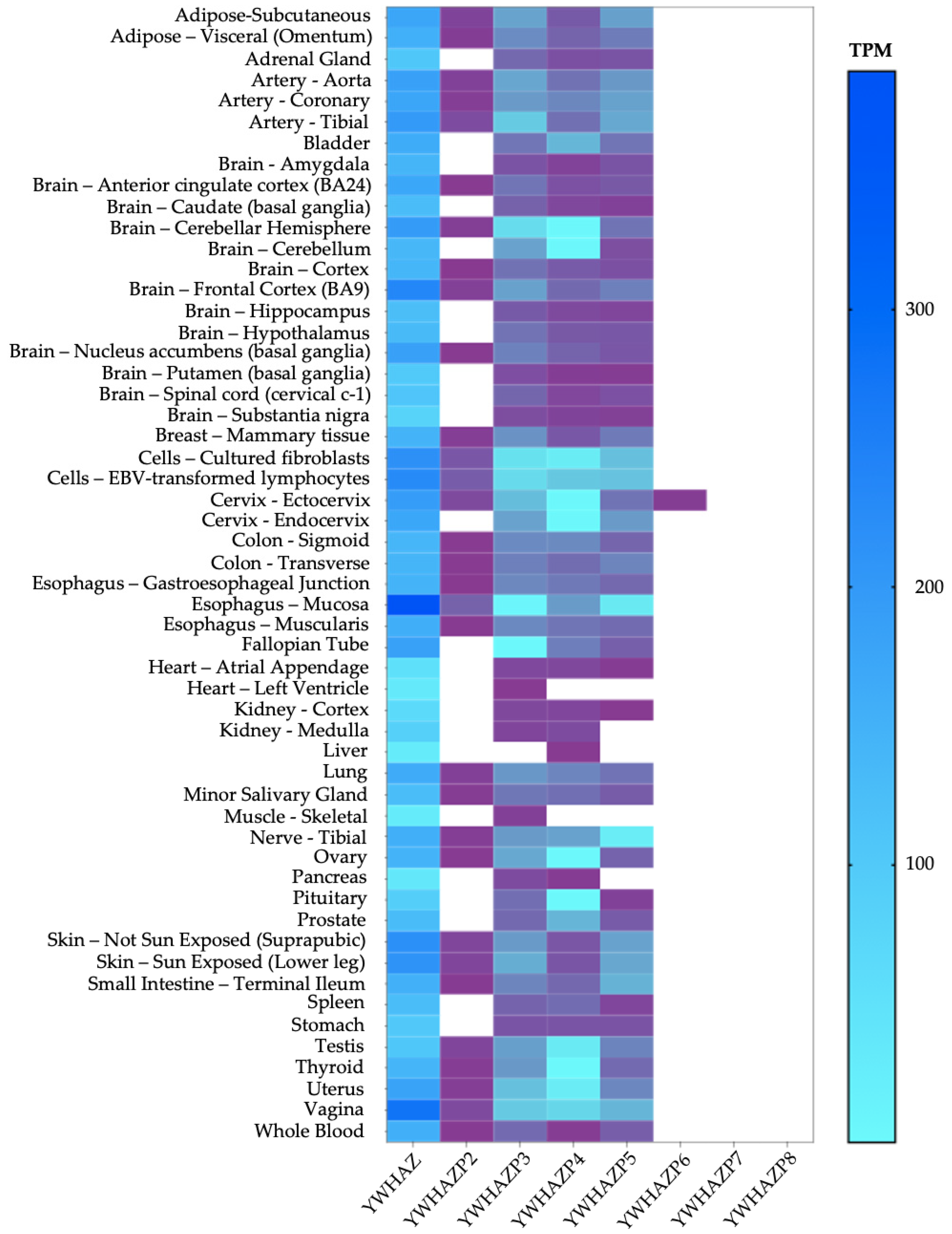 Genes 15 00399 g004