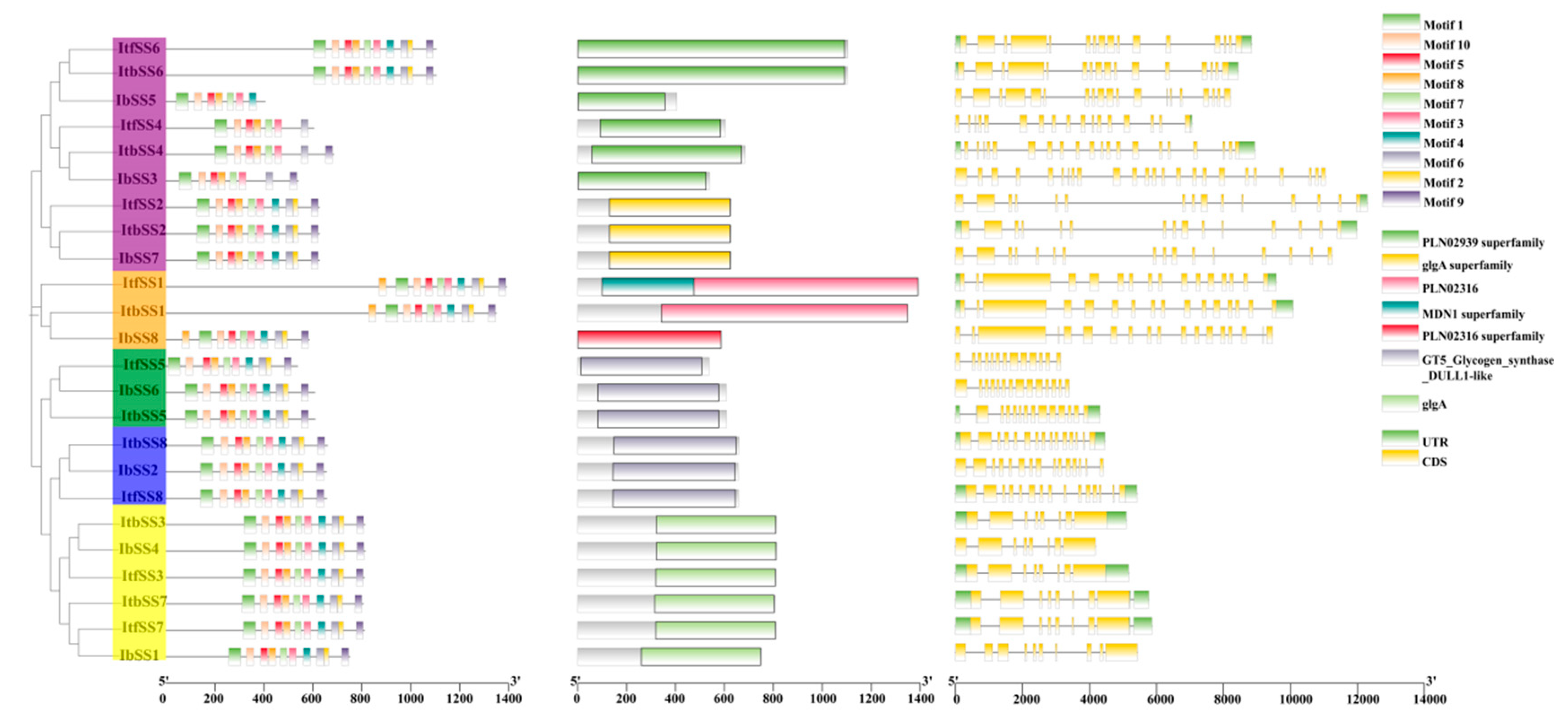 Genes 15 00400 g003