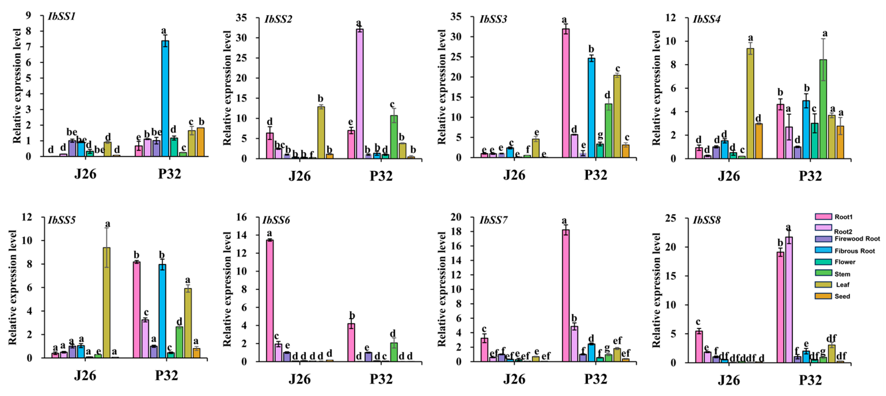 Genes 15 00400 g015