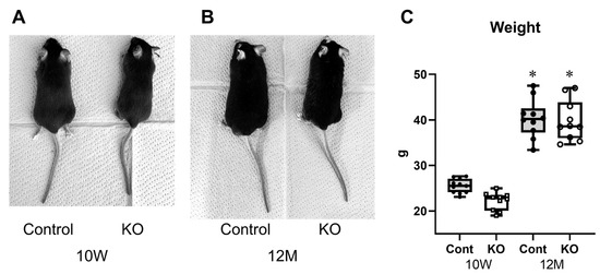 さくら Myelin-Specific microRNA-23a/b Cluster Deletion Inhibits