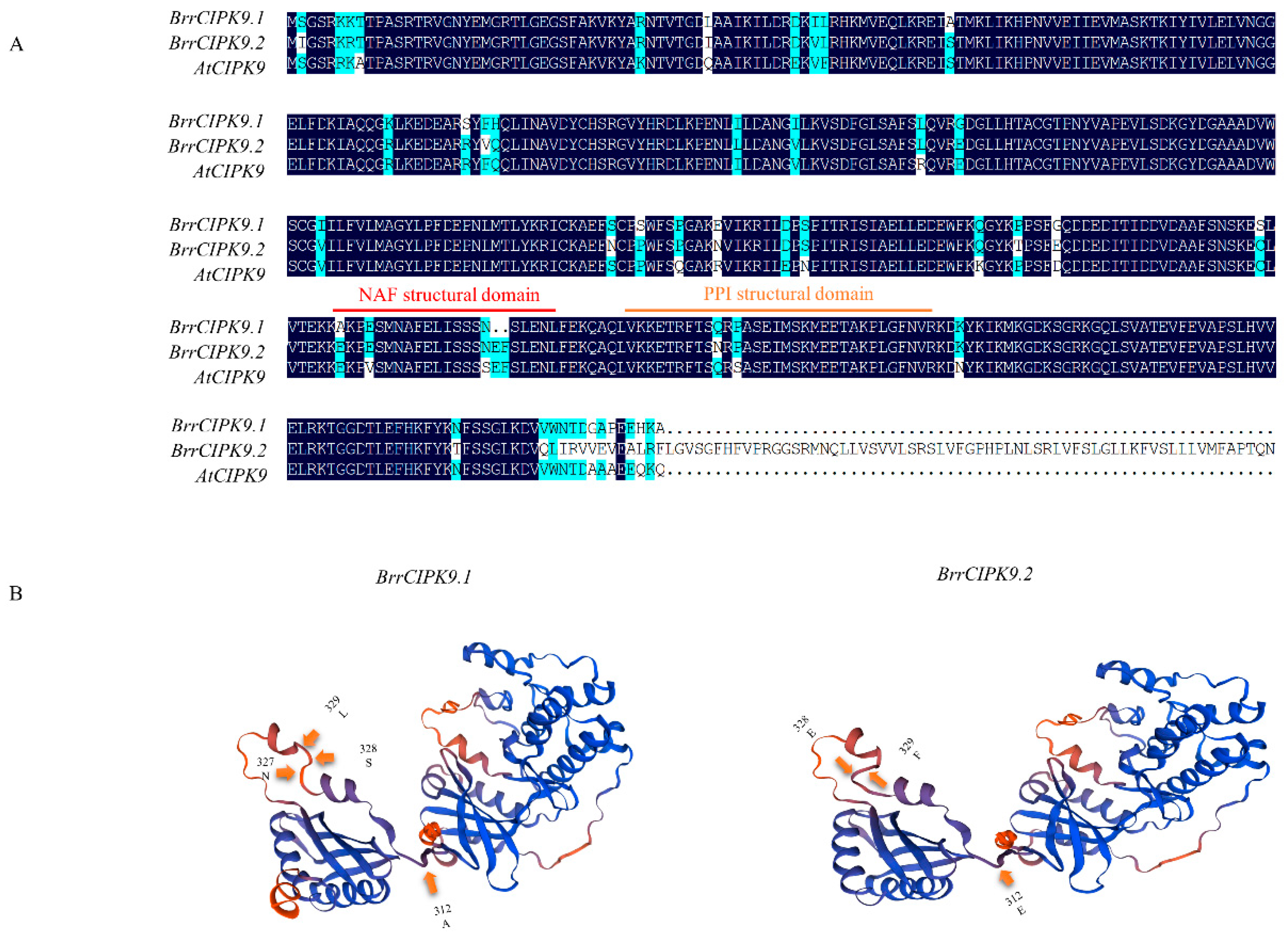 Genes 15 00405 g002