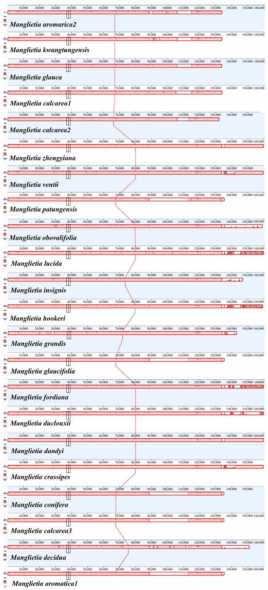 Comparative Analysis of Chloroplast Genomes for the Genus