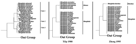 Jin Comparative Analysis of Chloroplast Genomes for the Genus