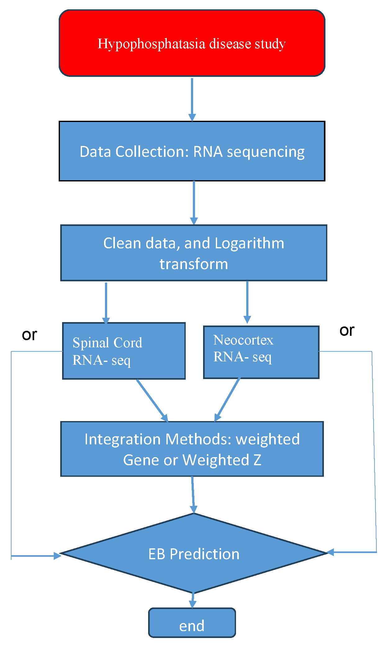 Genes 15 00407 g001
