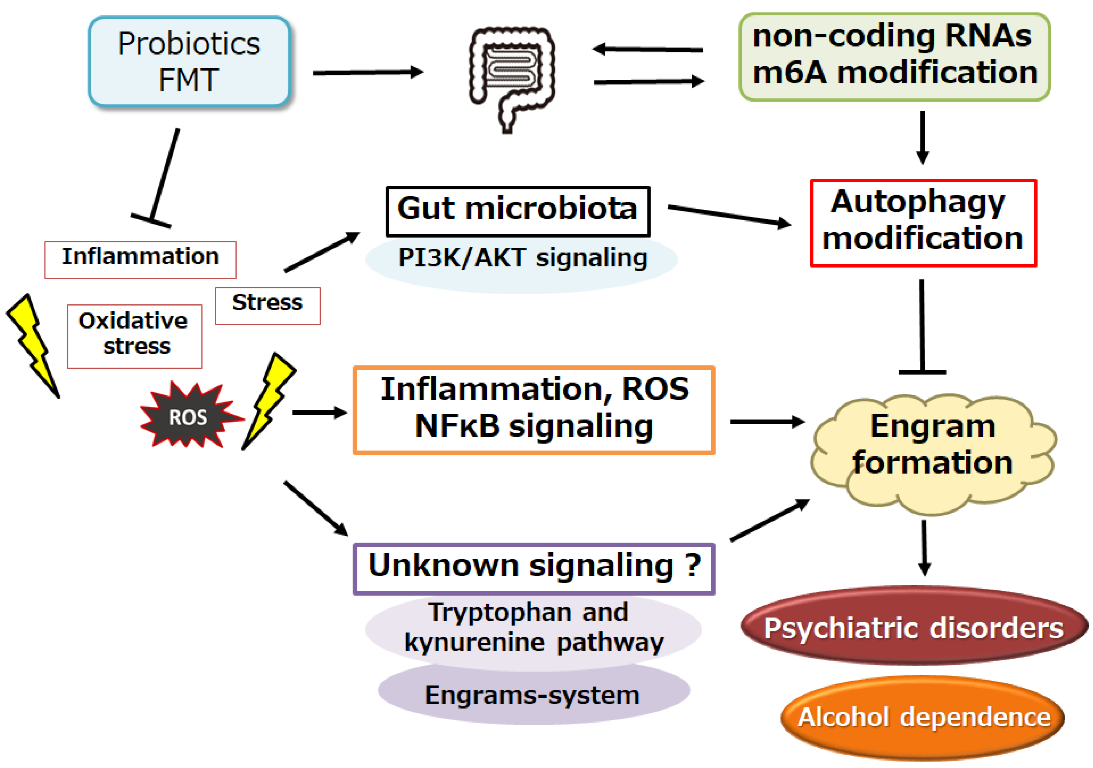 Genes 15 00431 g002 Genes 15 00431 g002