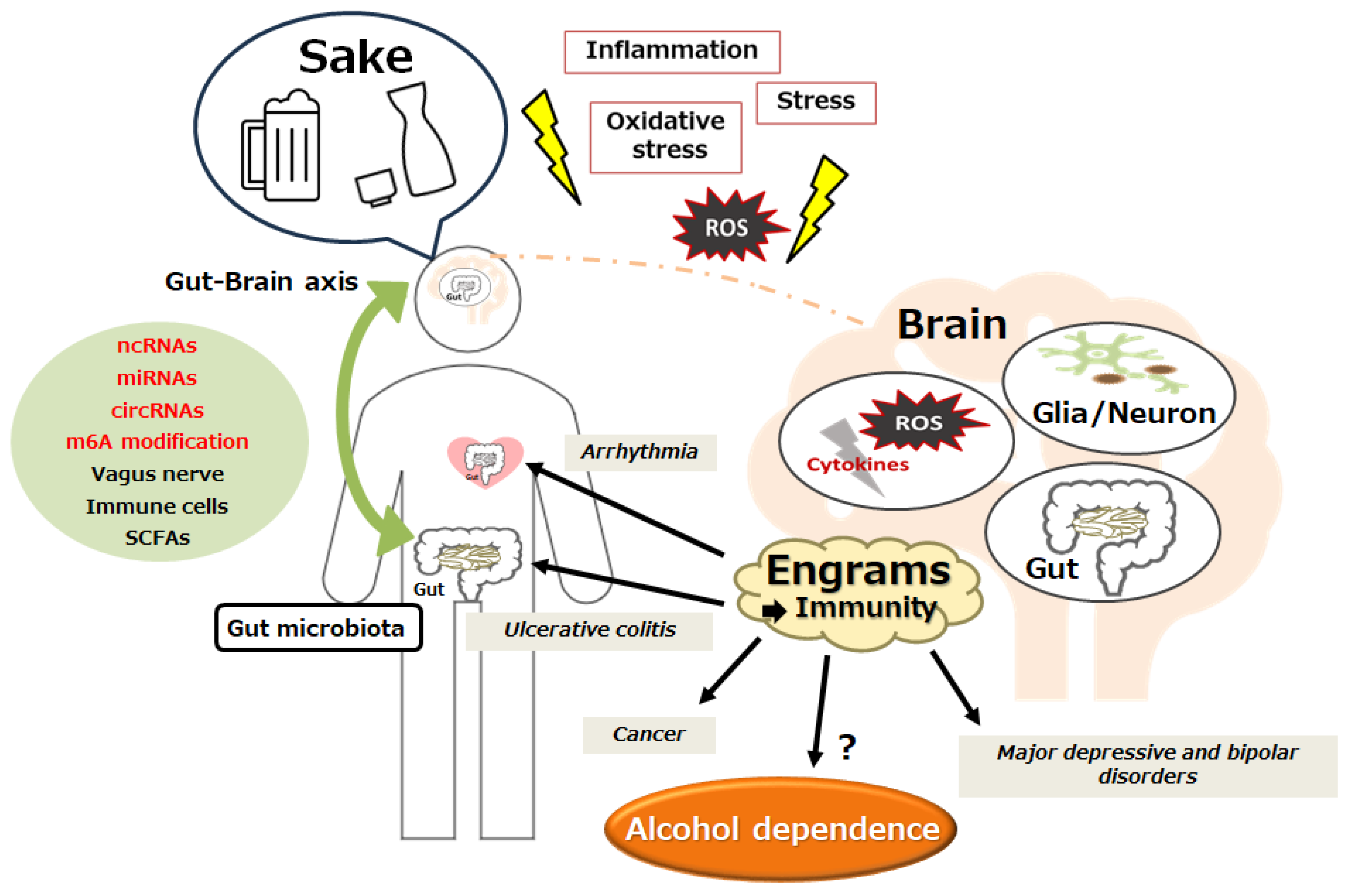 Genes 15 00431 g003 Genes 15 00431 g003