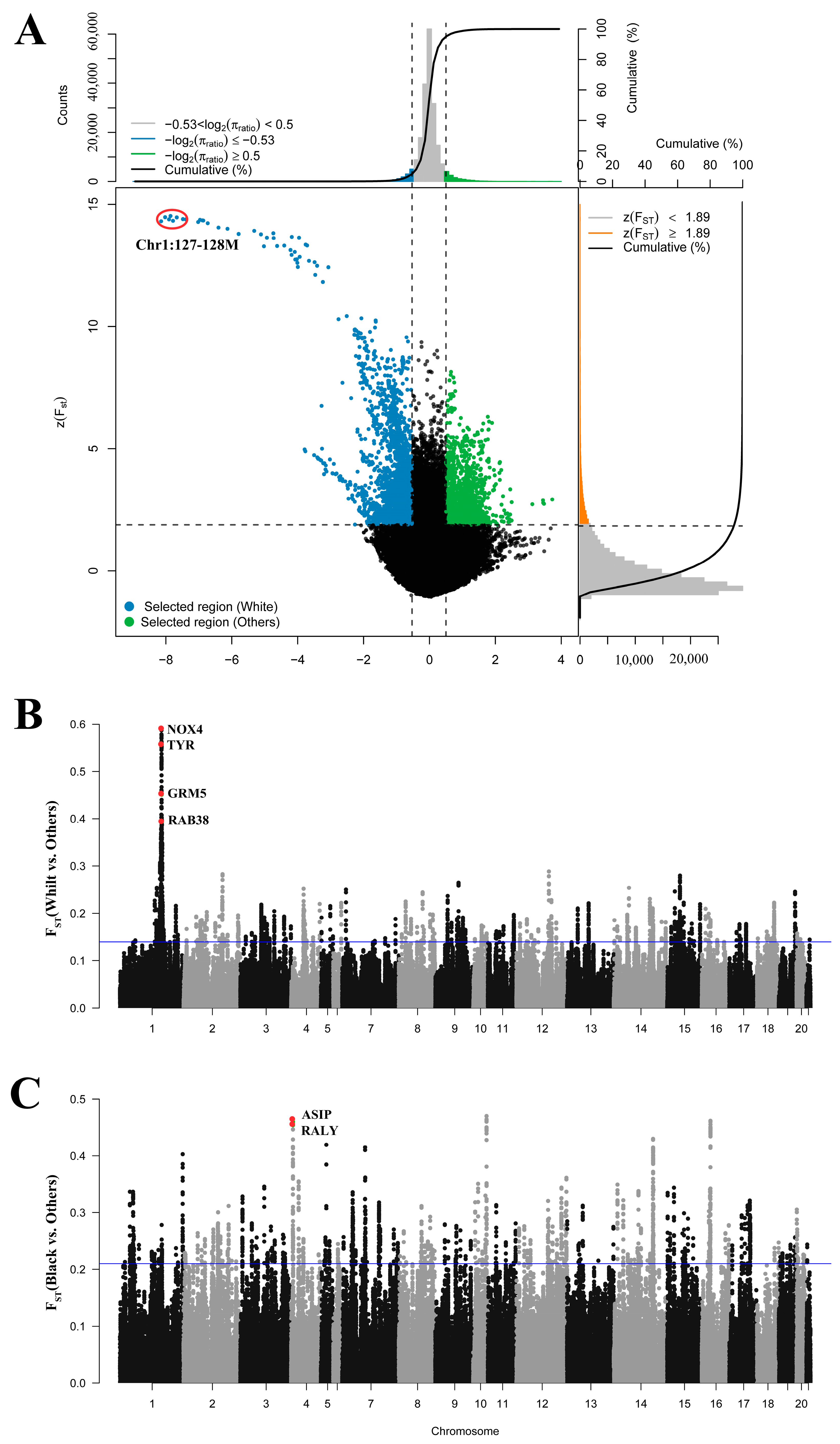 Genes 15 00433 g003 Genes 15 00433 g003
