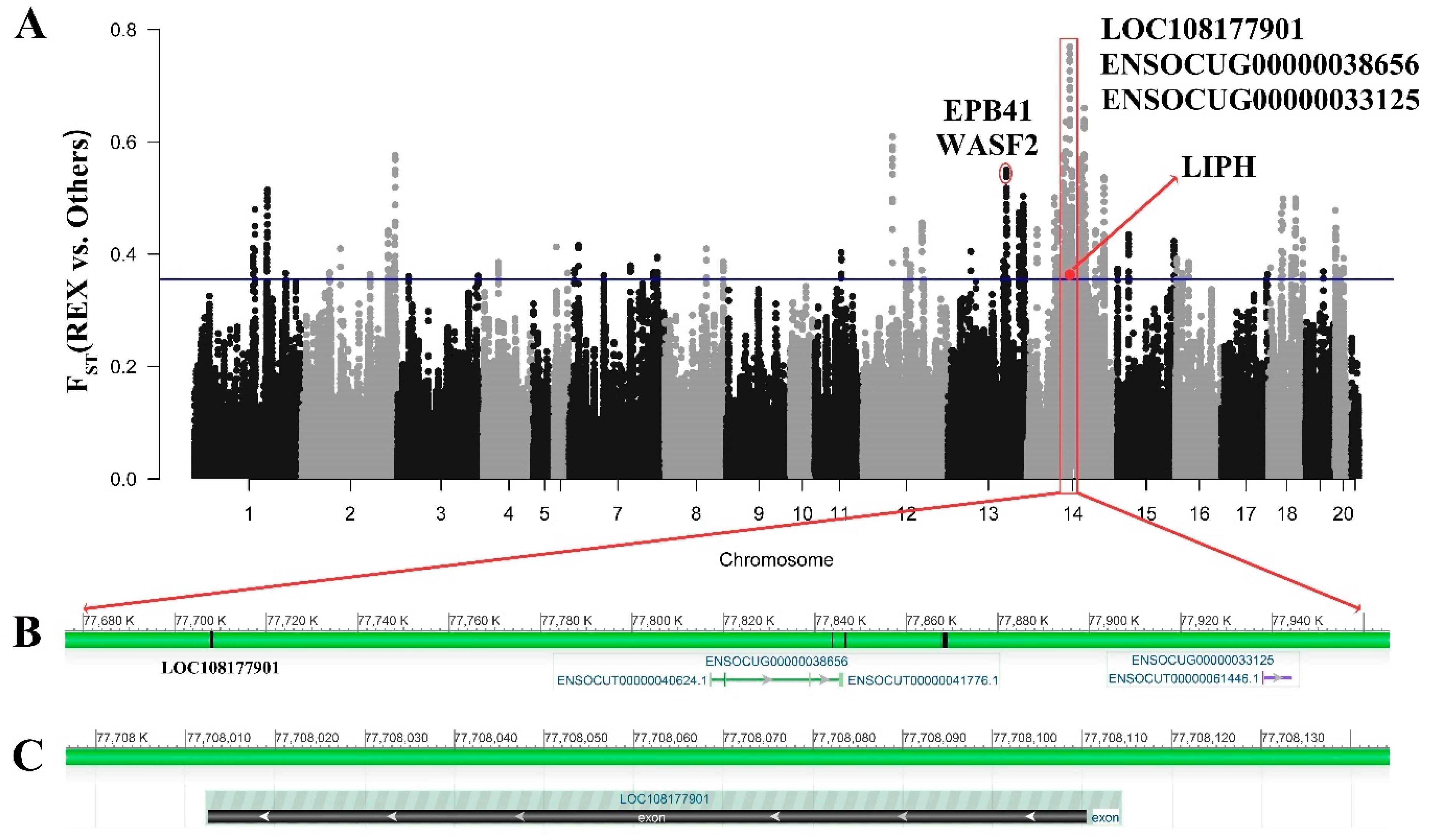 Genes 15 00433 g004 Genes 15 00433 g004
