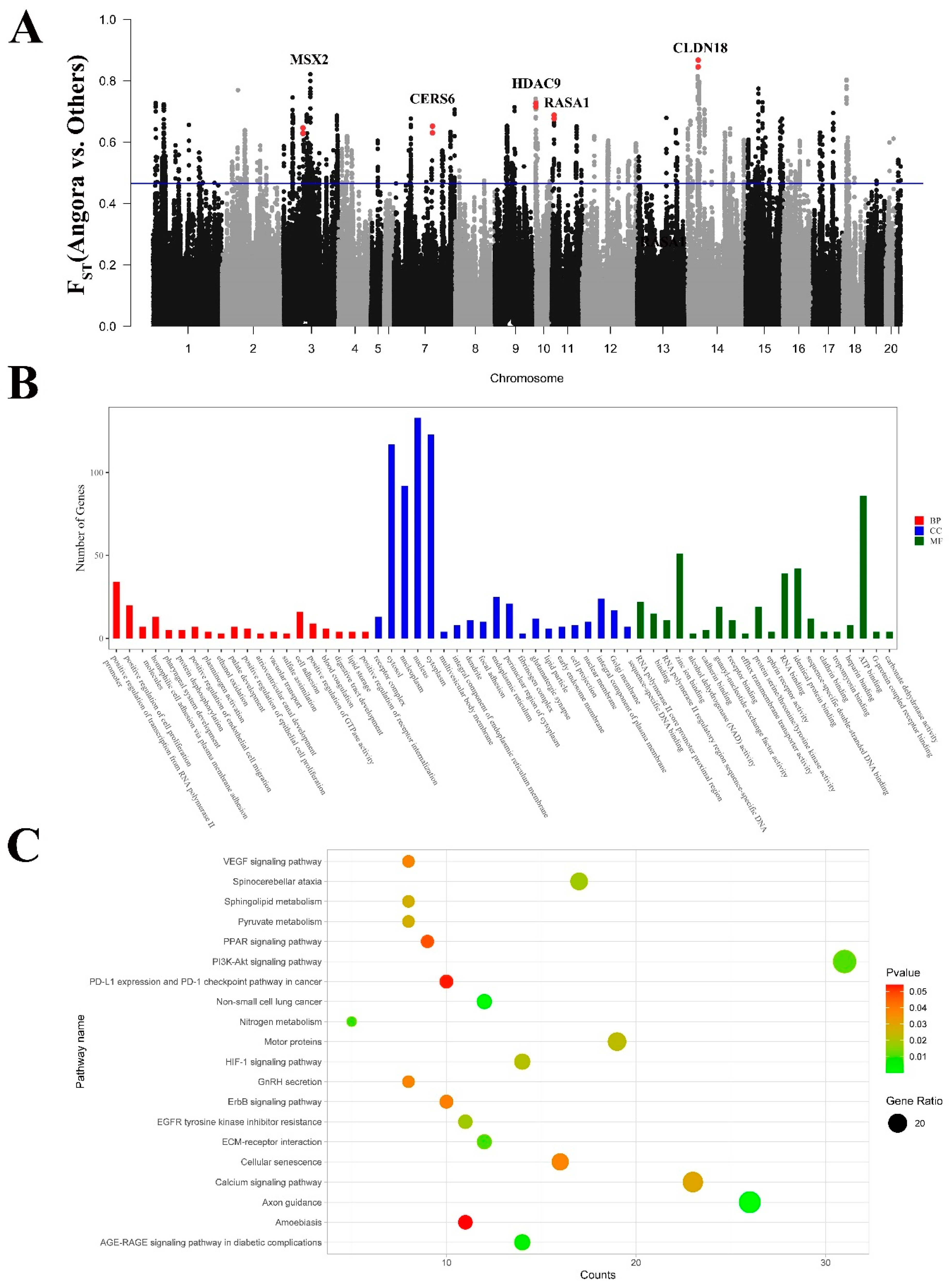 Genes 15 00433 g005 Genes 15 00433 g005