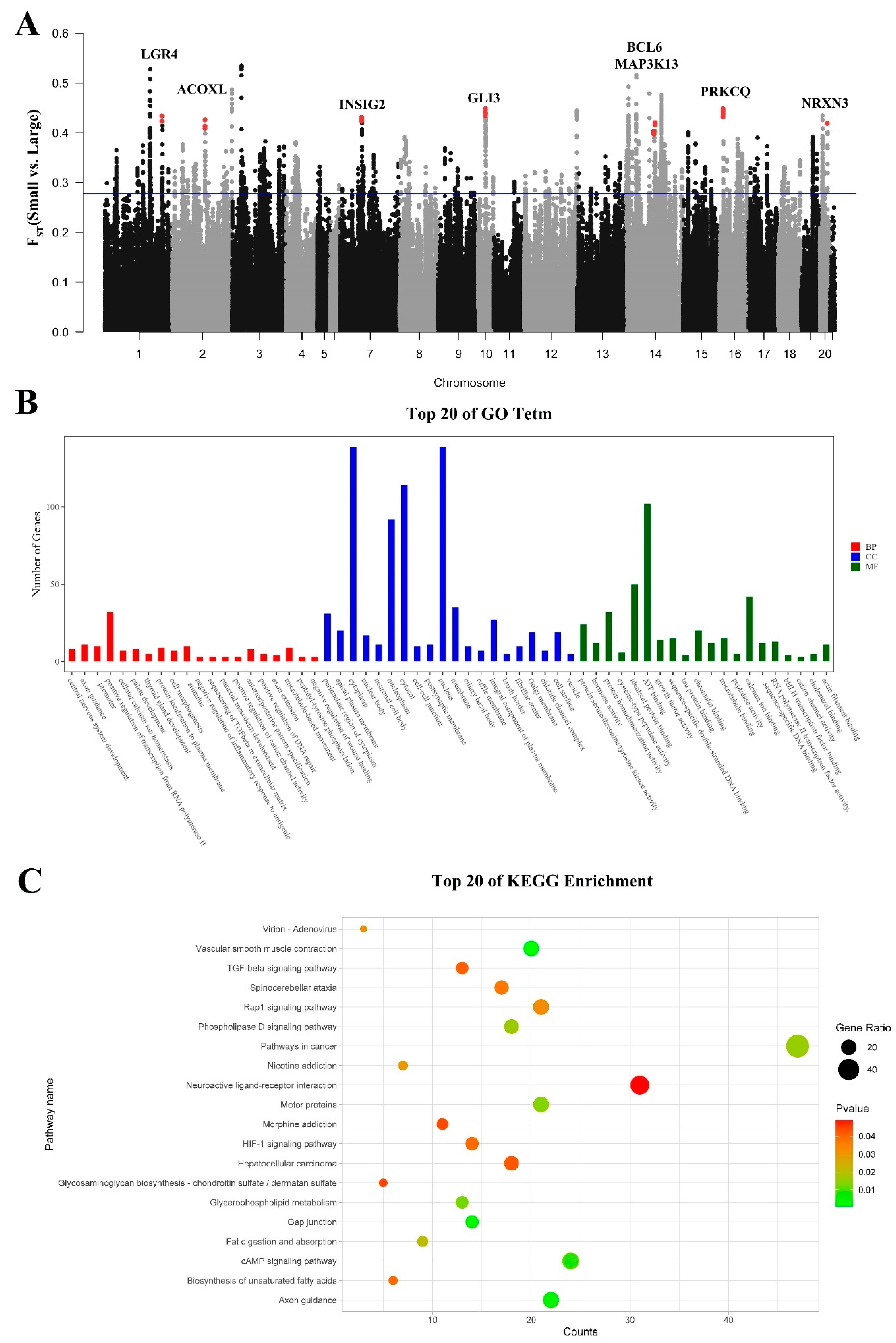 Genes 15 00433 g006 Genes 15 00433 g006
