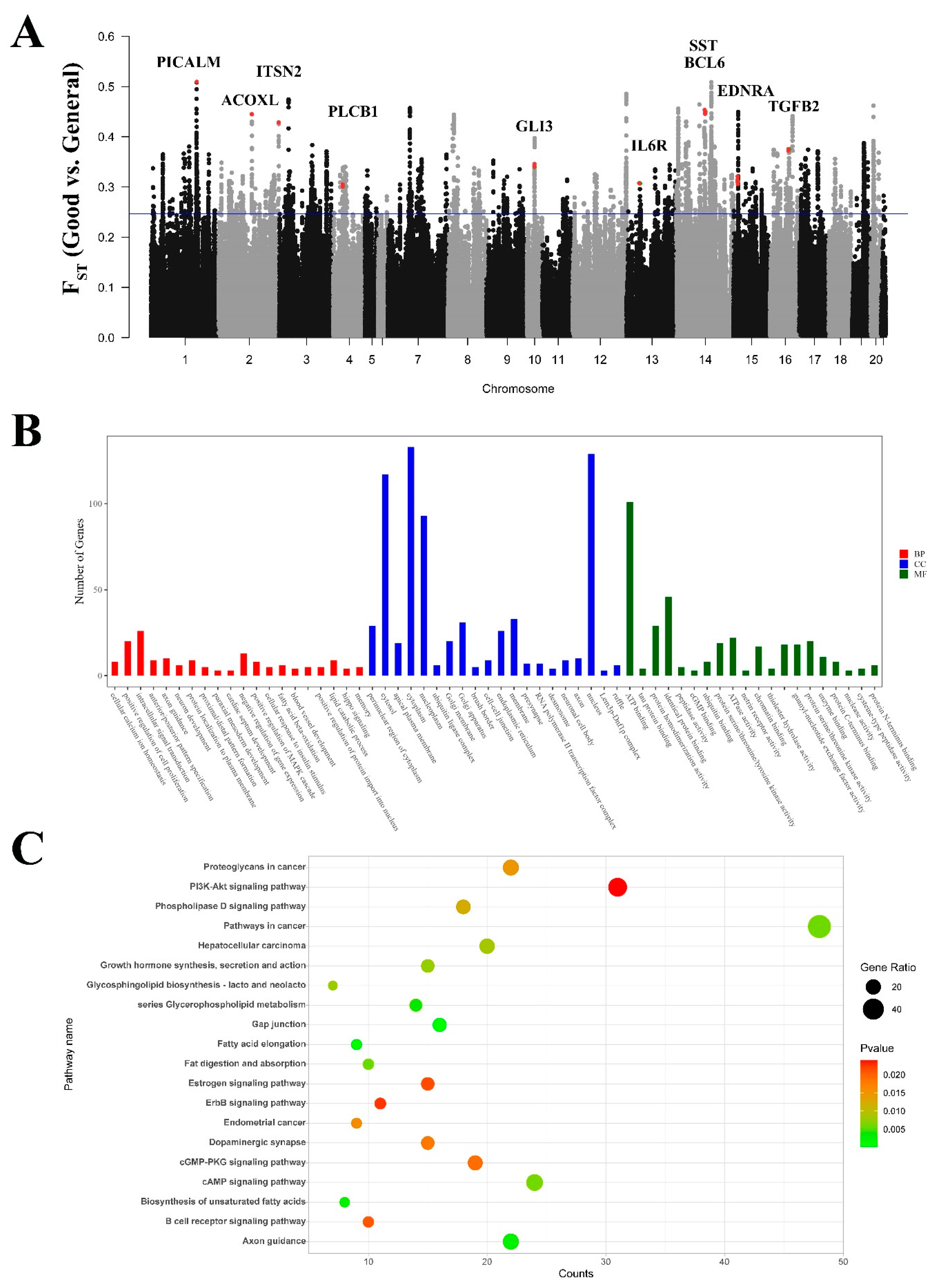 Genes 15 00433 g007 Genes 15 00433 g007