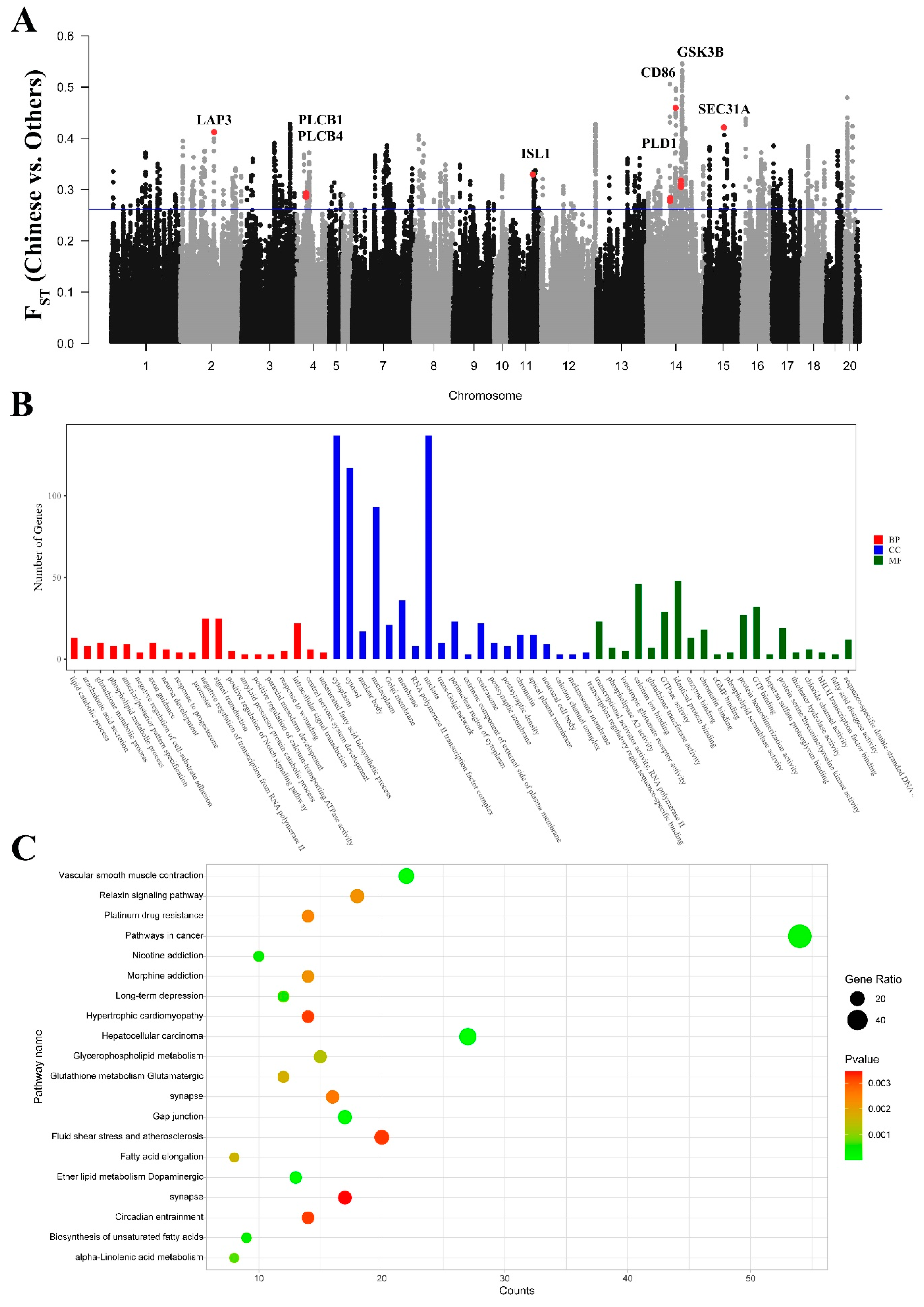 Genes 15 00433 g008 Genes 15 00433 g008