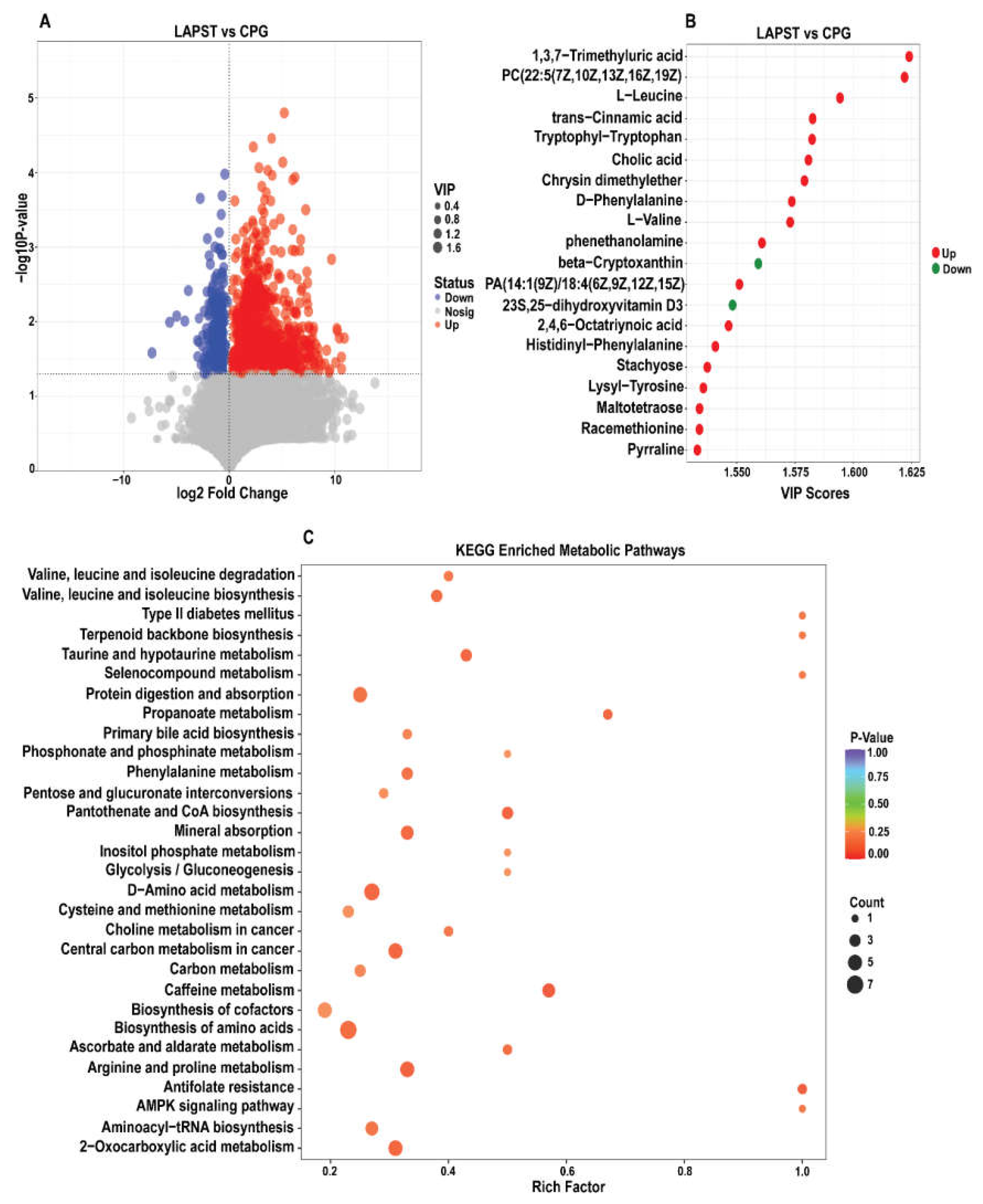 Genes 15 00435 g003
