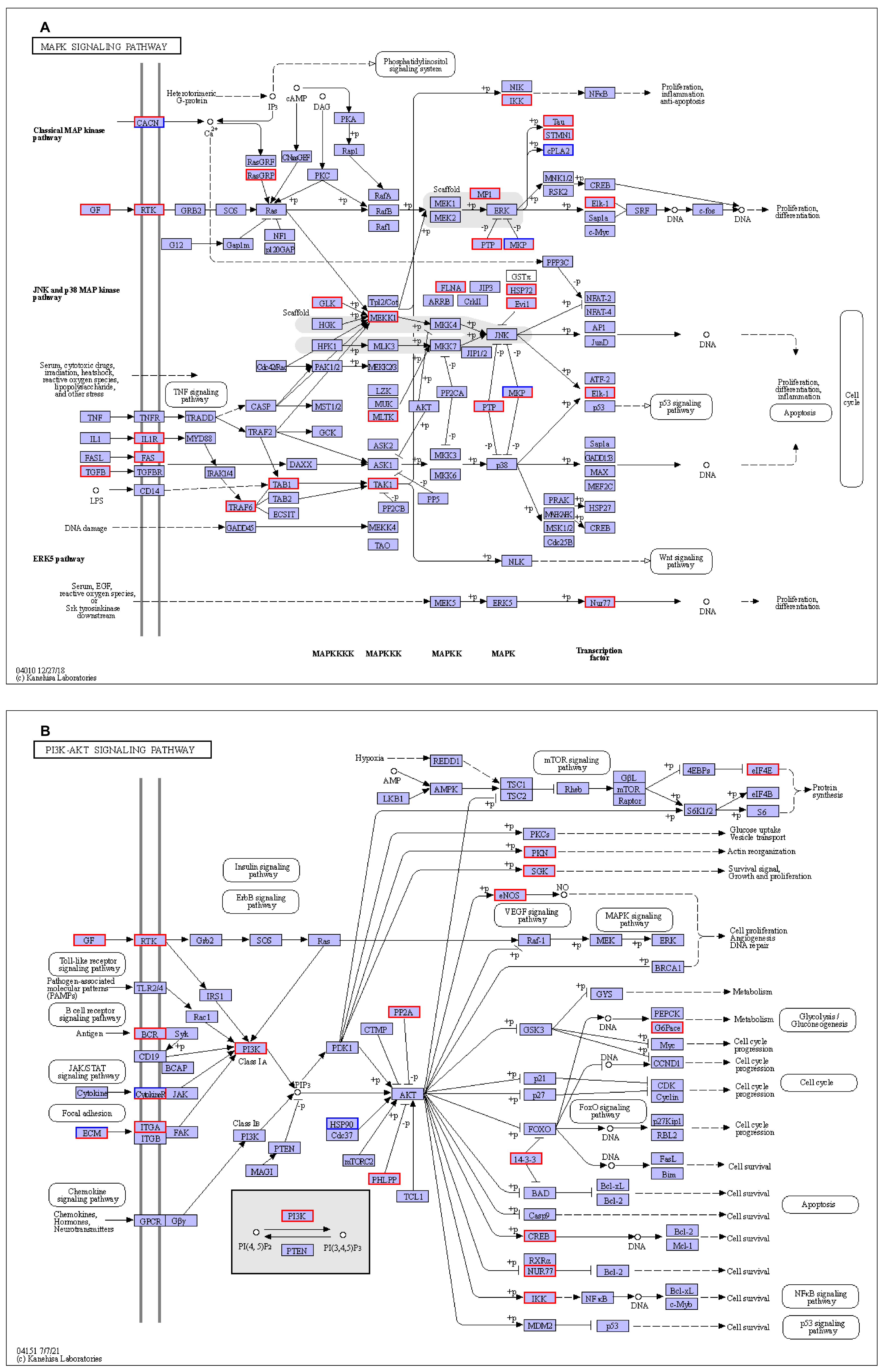 Genes 15 00435 g004