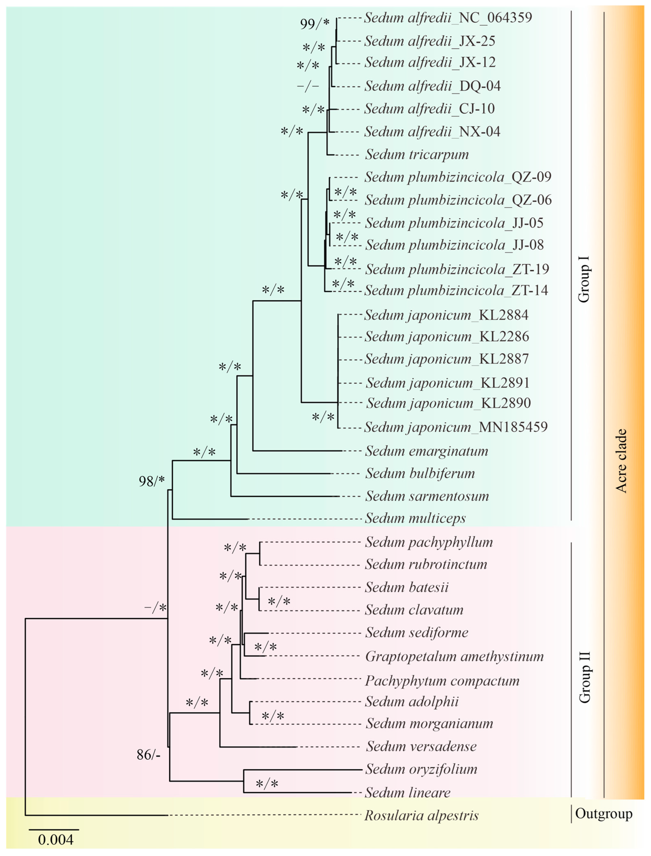 Genes 15 00444 g007