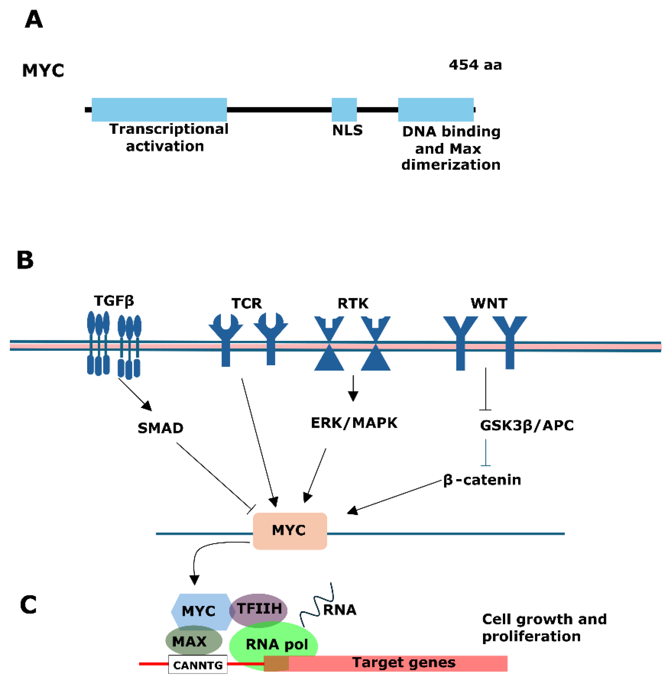 Genes 15 00450 g005 Genes 15 00450 g005