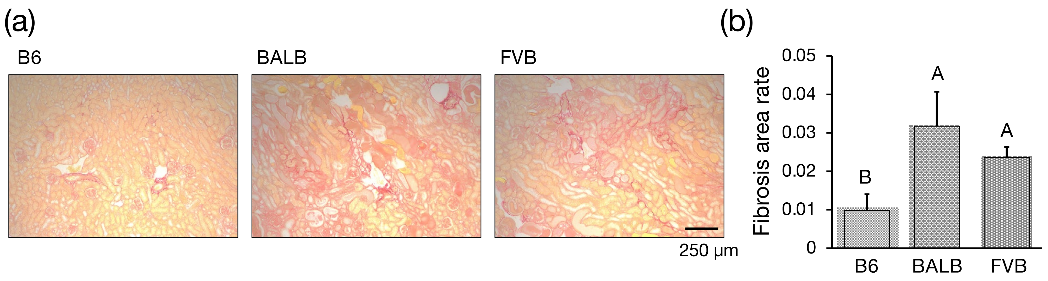 Genes 15 00456 g003 Genes 15 00456 g003