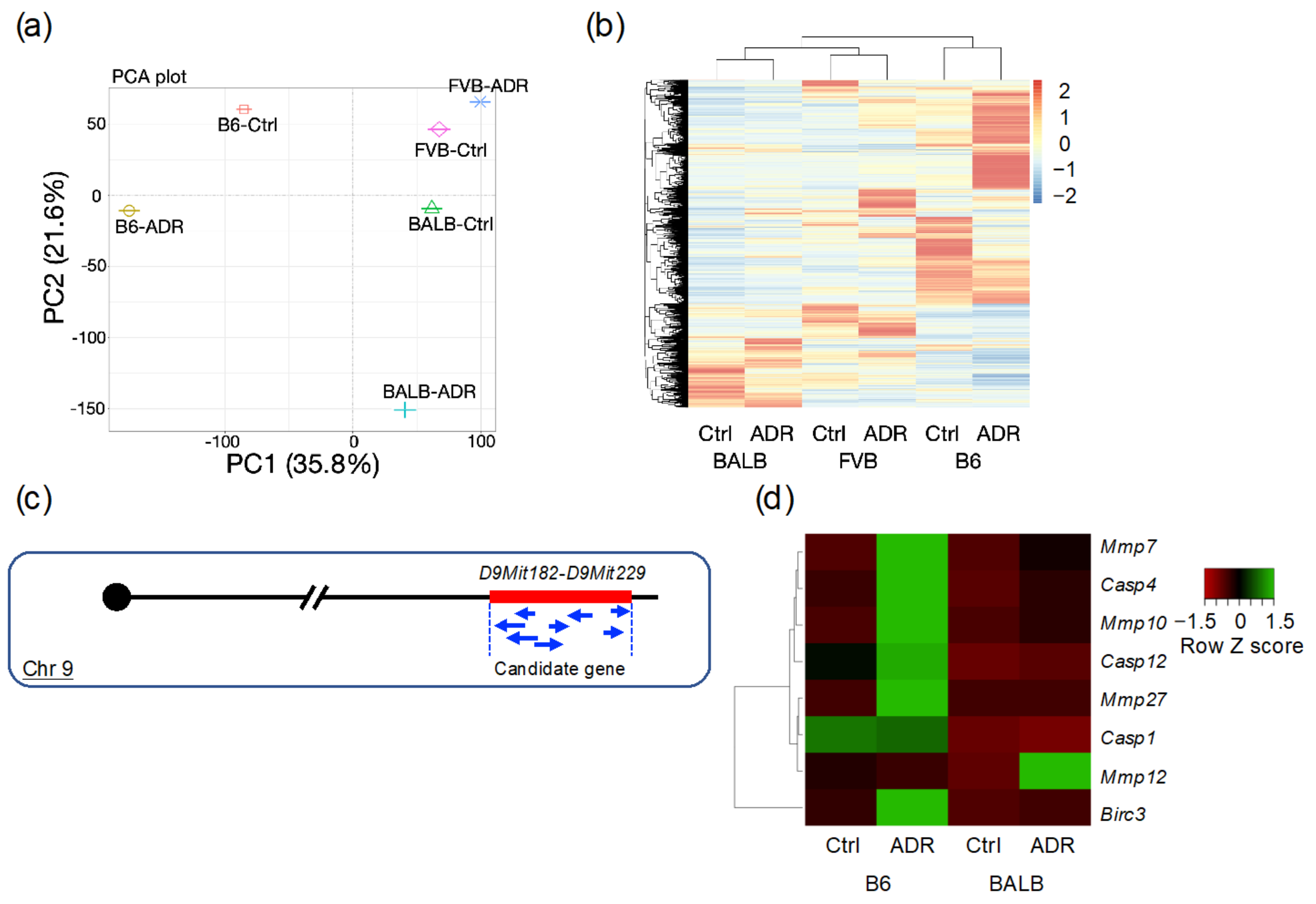 Genes 15 00456 g004 Genes 15 00456 g004