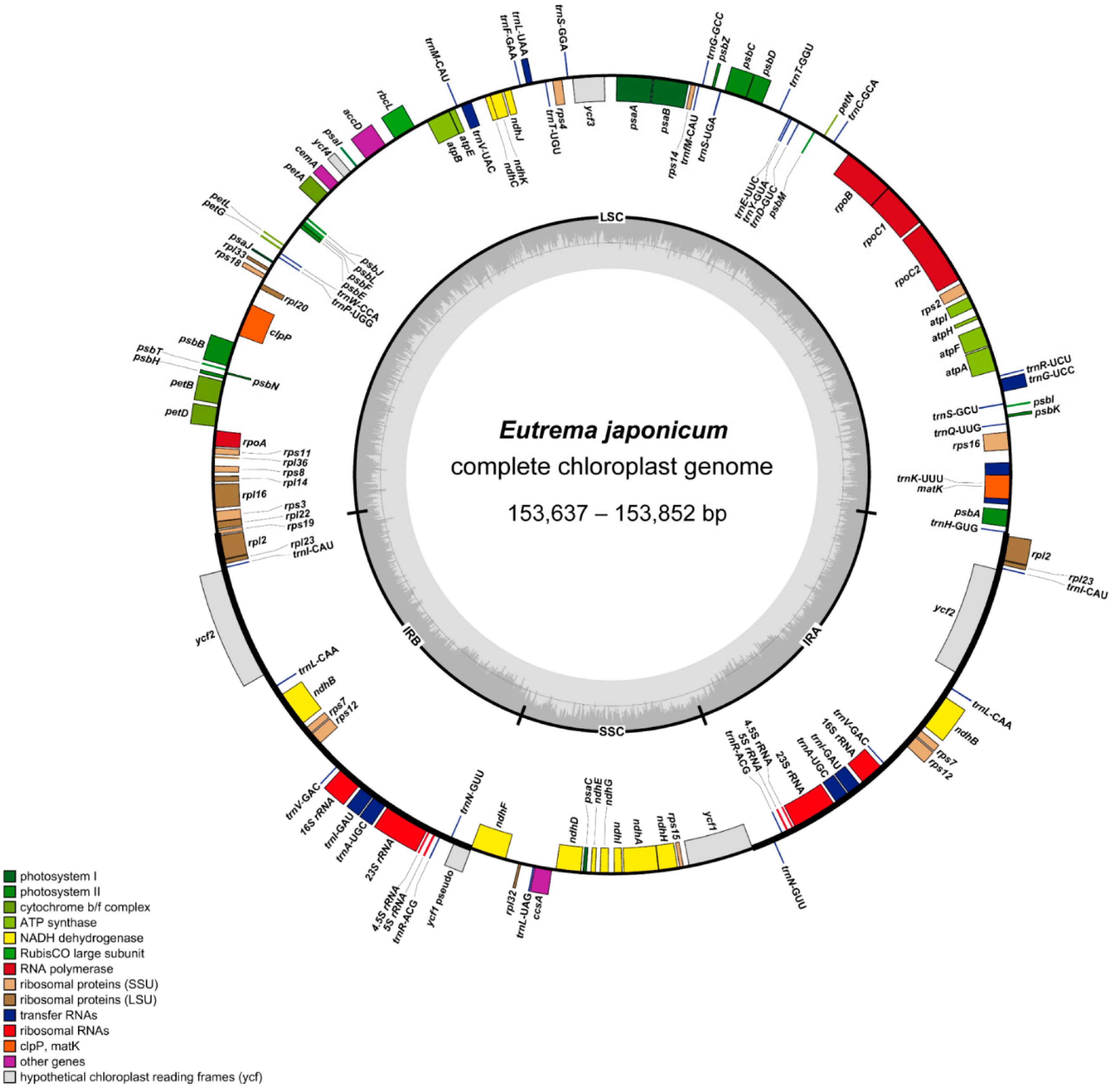 Genes 15 00457 g002 Genes 15 00457 g002