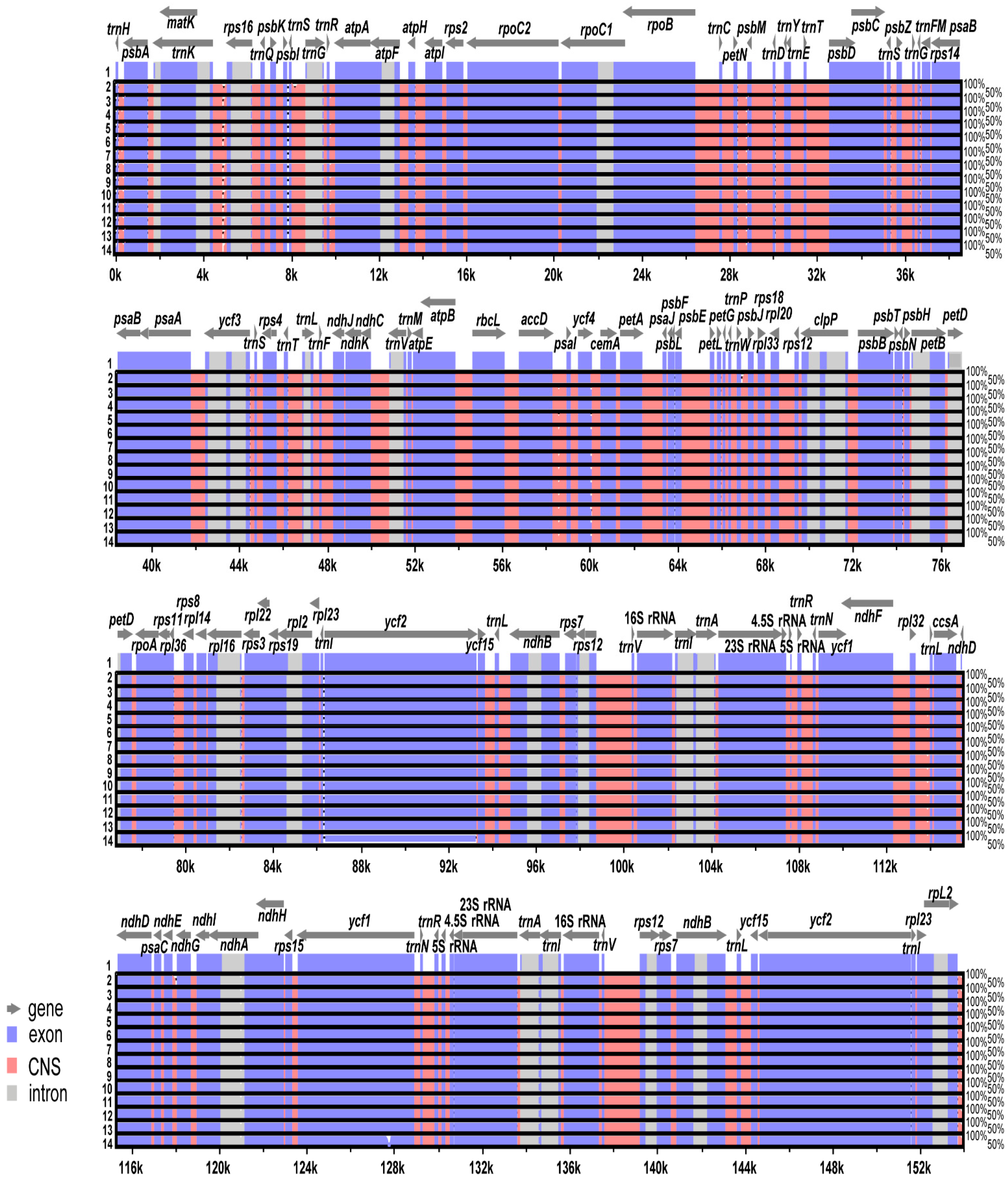 Genes 15 00457 g004 Genes 15 00457 g004