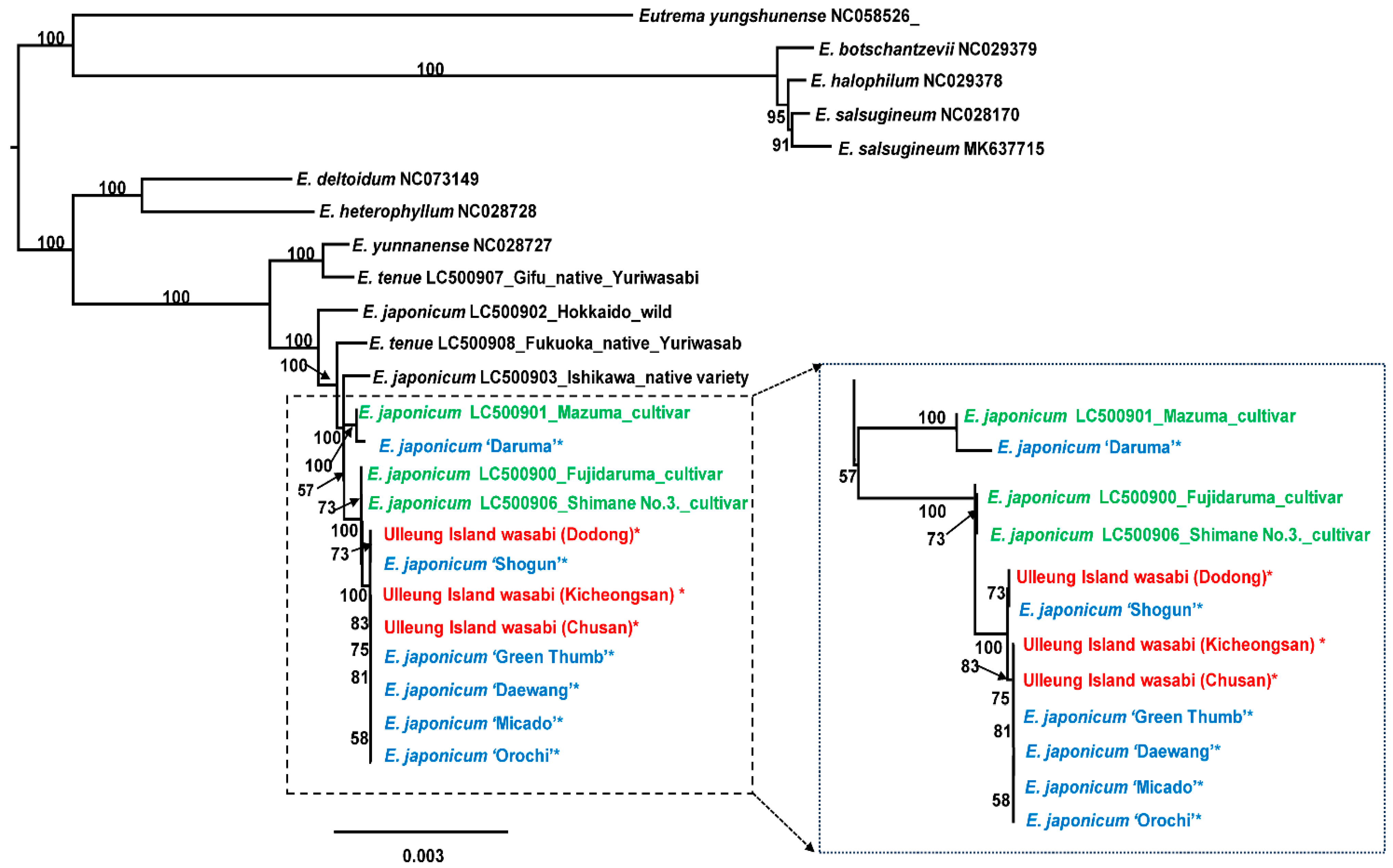 Genes 15 00457 g006 Genes 15 00457 g006