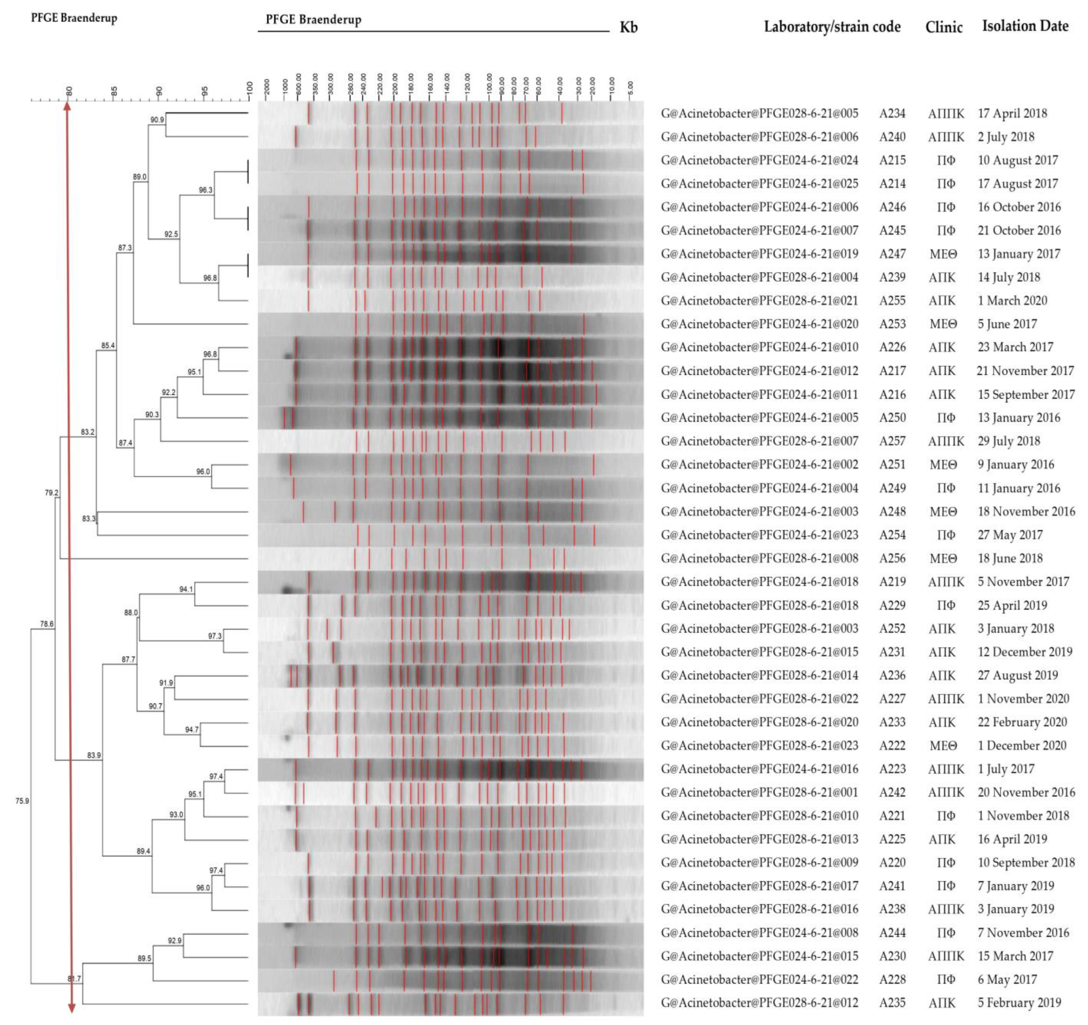 Genes 15 00458 g002