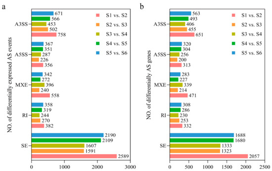 Rin Transcriptomic Analysis of Alternative Splicing Events
