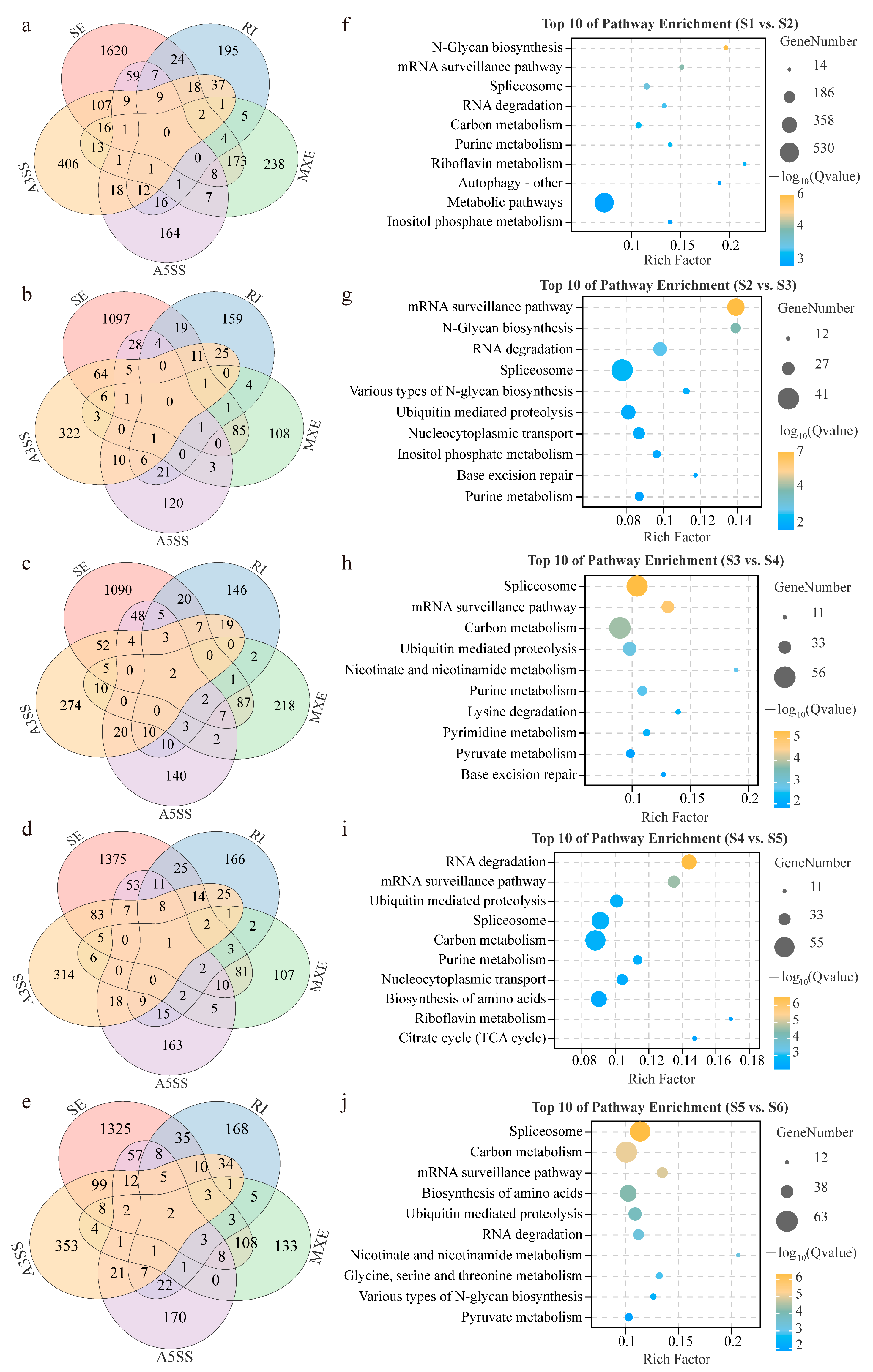 Genes 15 00459 g003