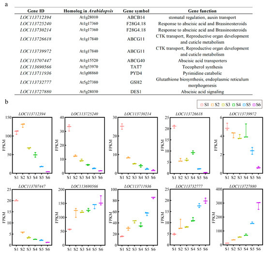 Transcriptomic Analysis of Alternative Splicing Events during