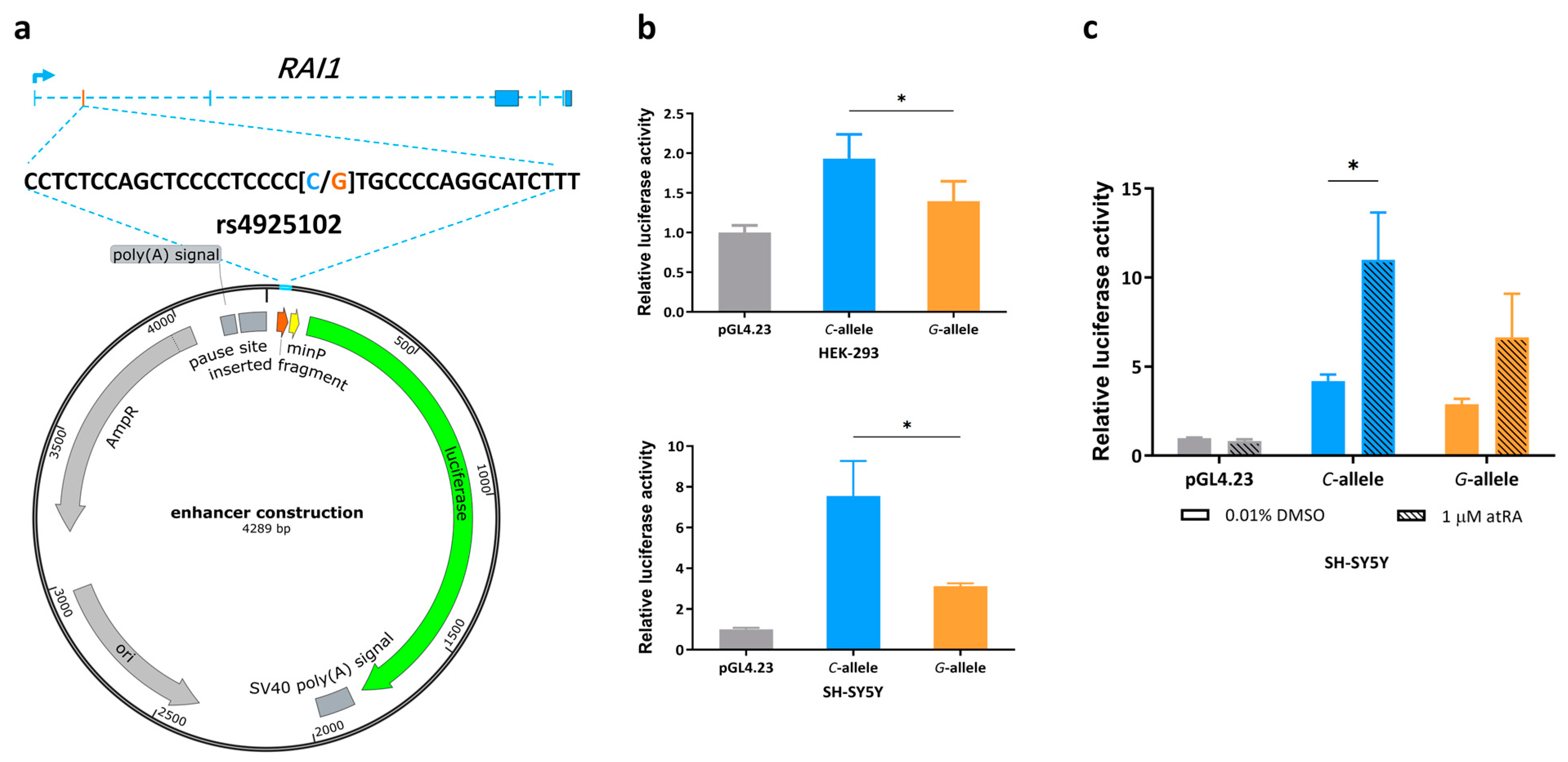 Genes 15 00460 g001