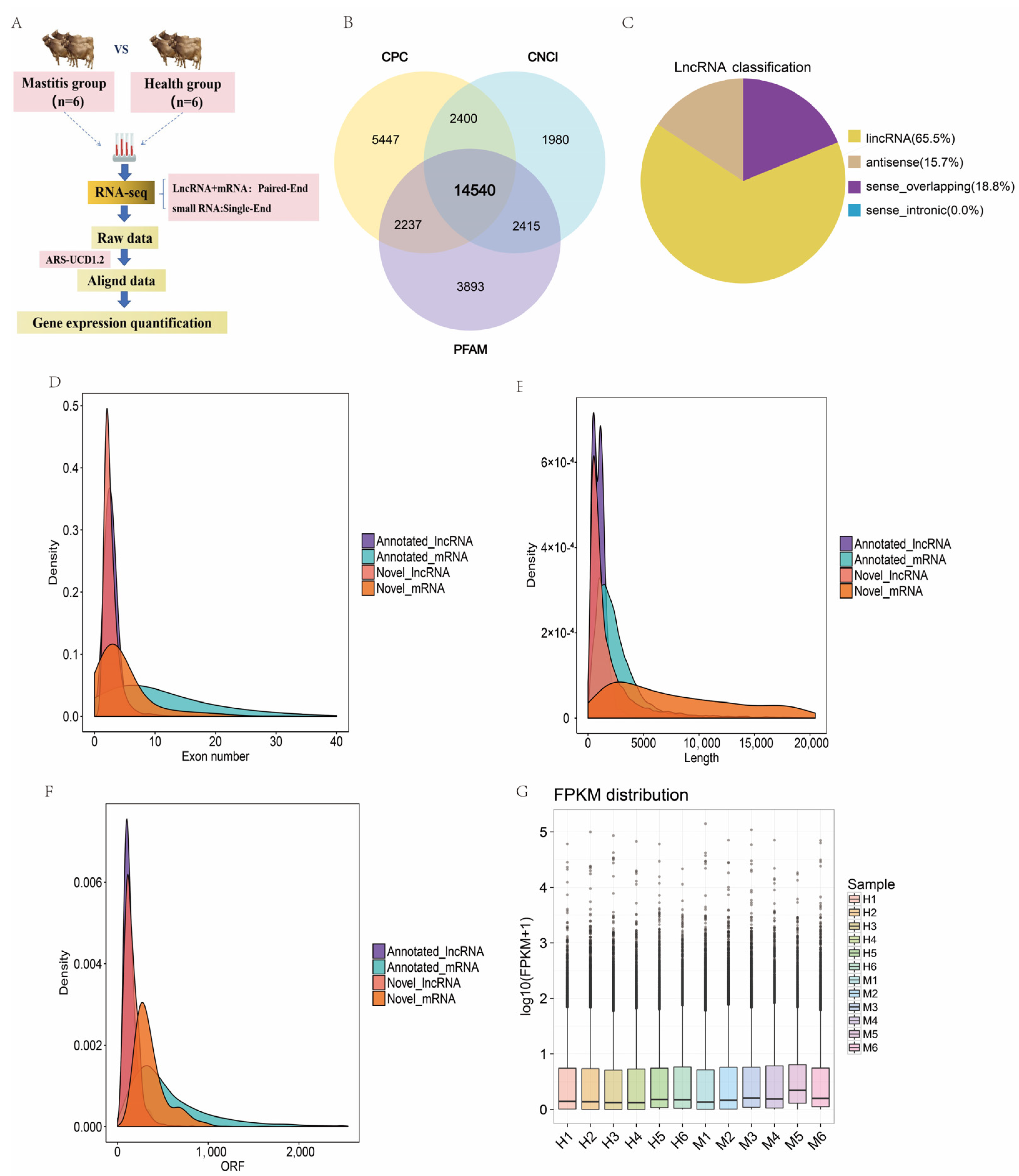 Genes 15 00465 g002