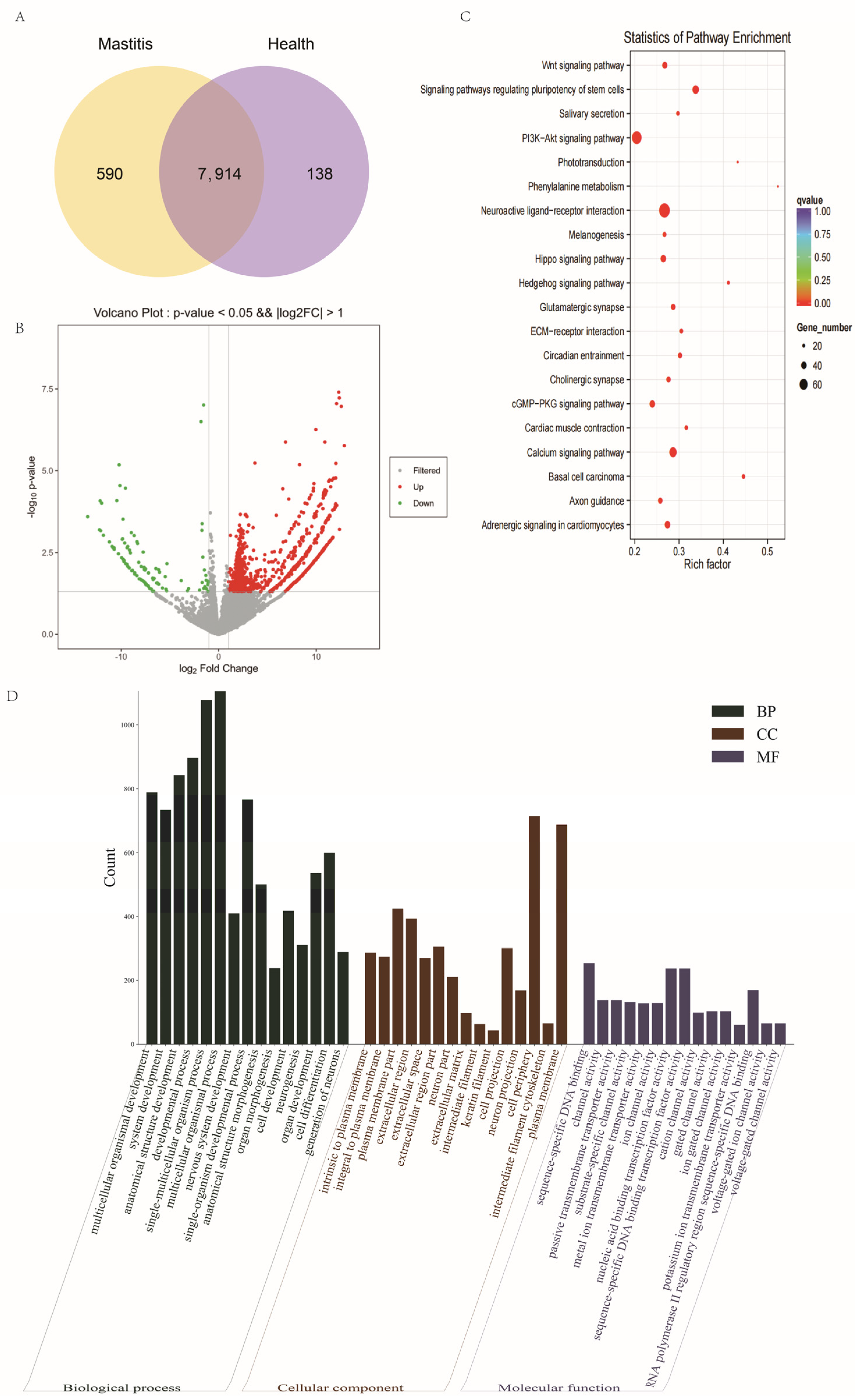 Genes 15 00465 g003