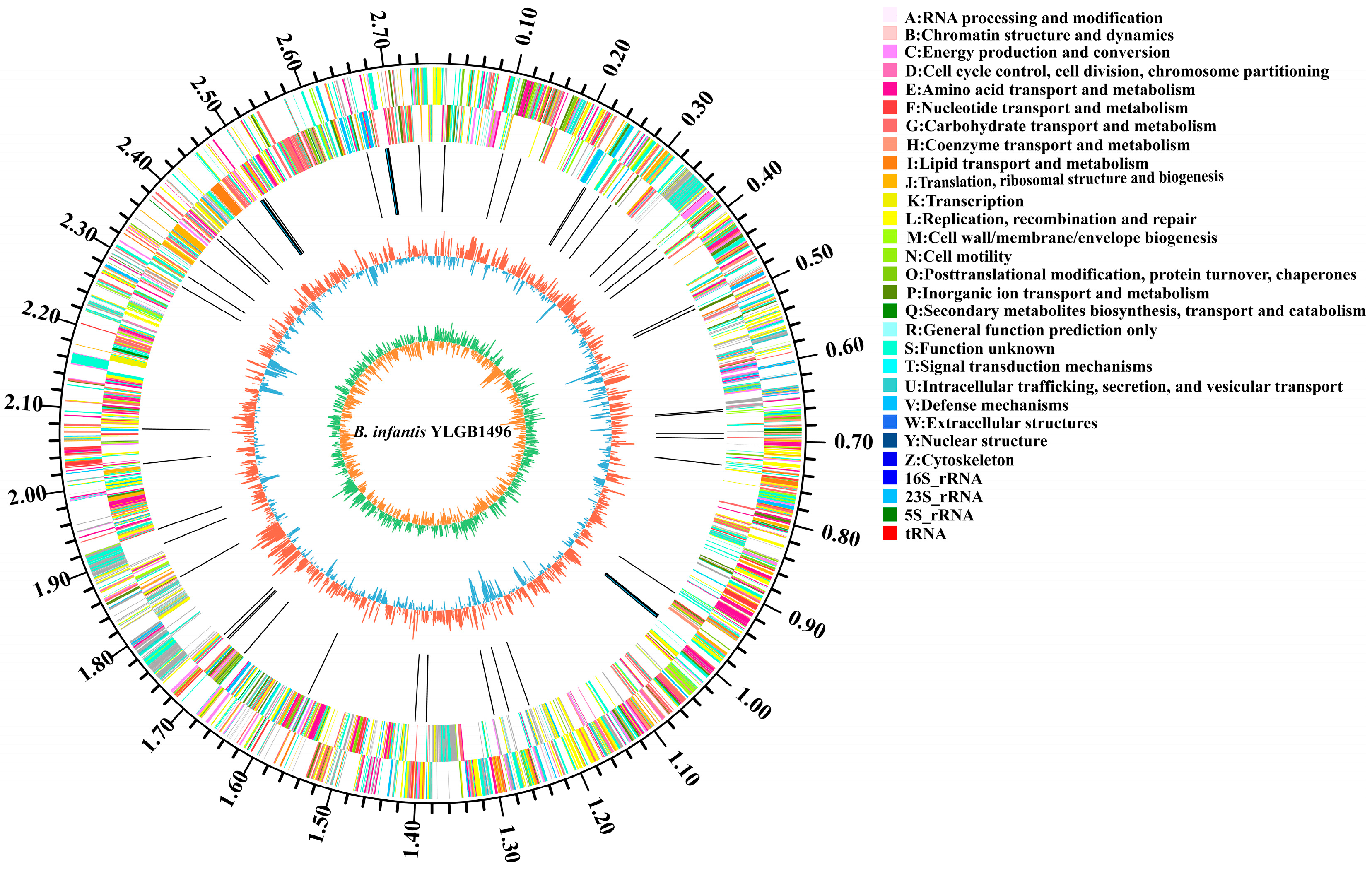 Genes 15 00466 g001 Genes 15 00466 g001